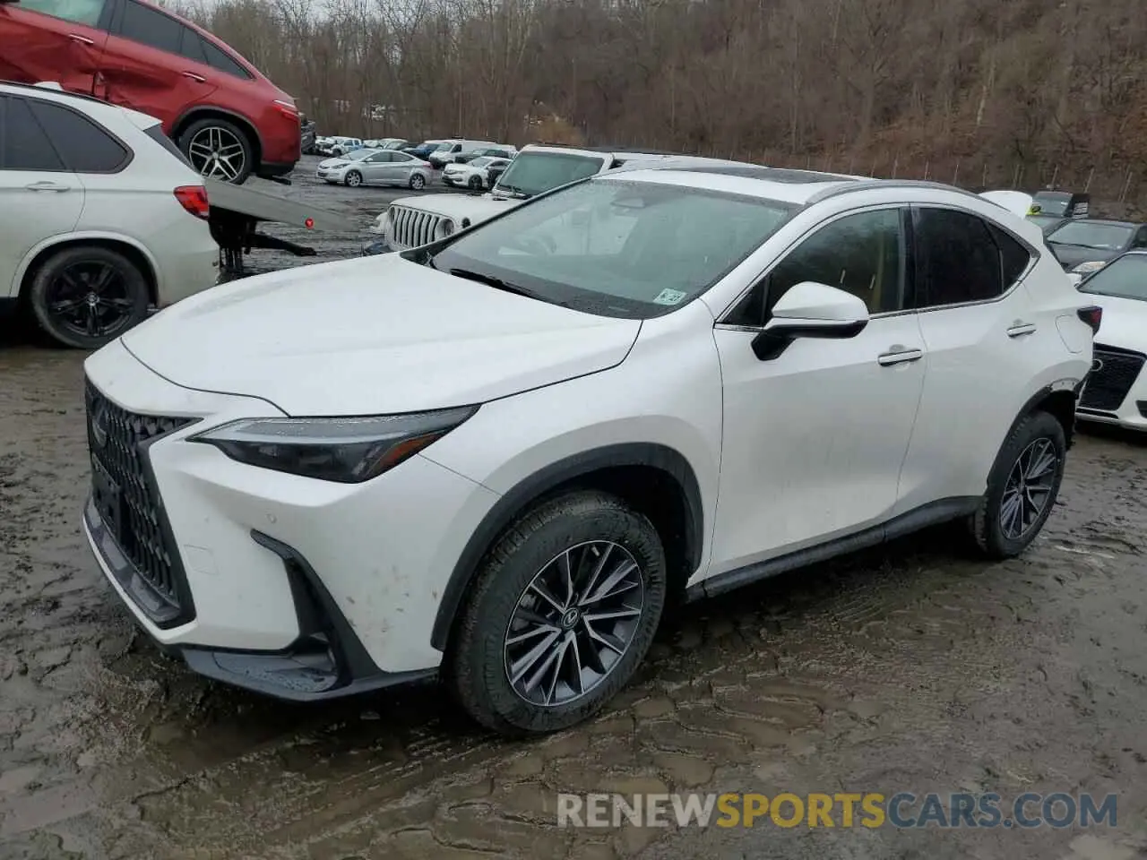 1 fotografías del automóvil dañado 2T2GGCEZXNC002950 LEXUS NX 350 2022