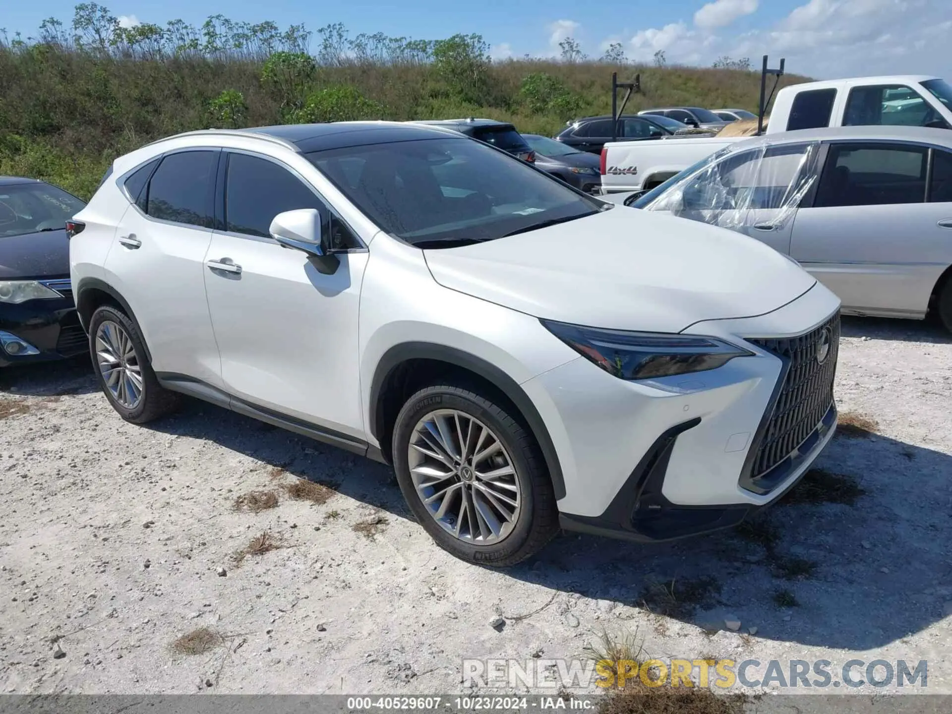 1 fotografías del automóvil dañado JTJHGCEZ8N2007570 LEXUS NX 350 2022