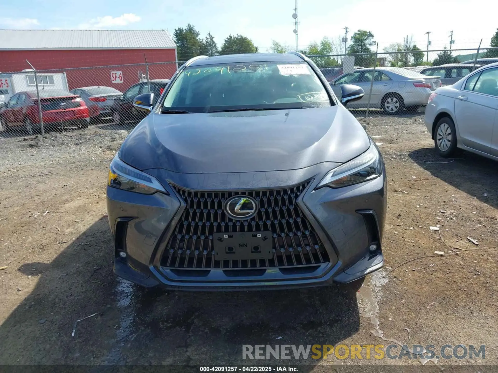 13 fotografías del automóvil dañado 2T2GGCEZ3PC023075 LEXUS NX 350 2023