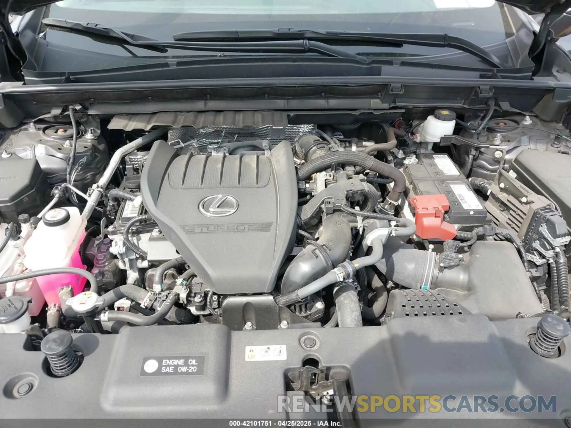 10 fotografías del automóvil dañado 2T2GGCEZ8PC024142 LEXUS NX 350 2023
