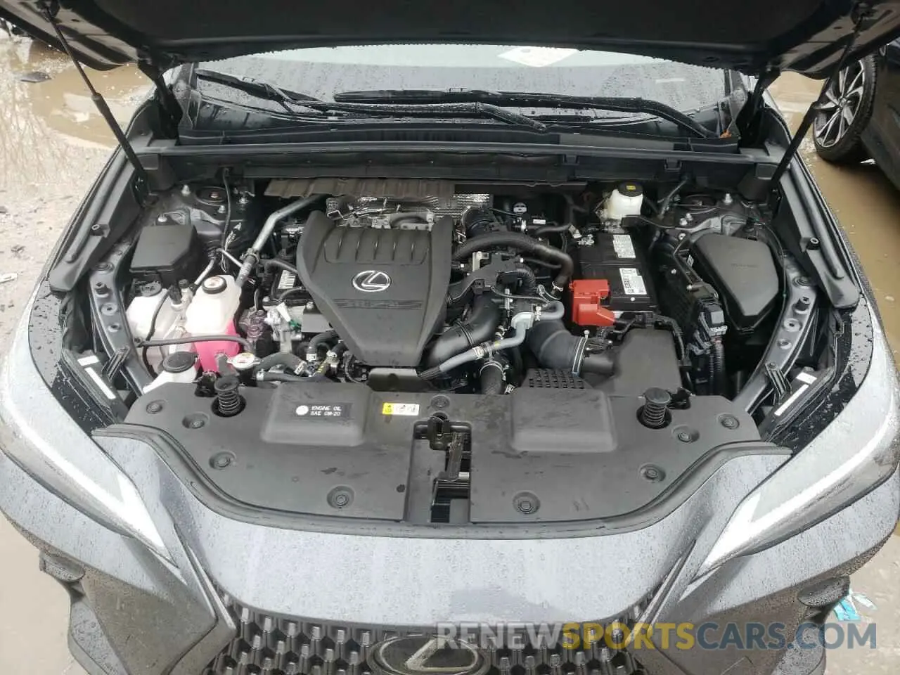 11 fotografías del automóvil dañado 2T2GGCEZXPC021873 LEXUS NX 350 2023