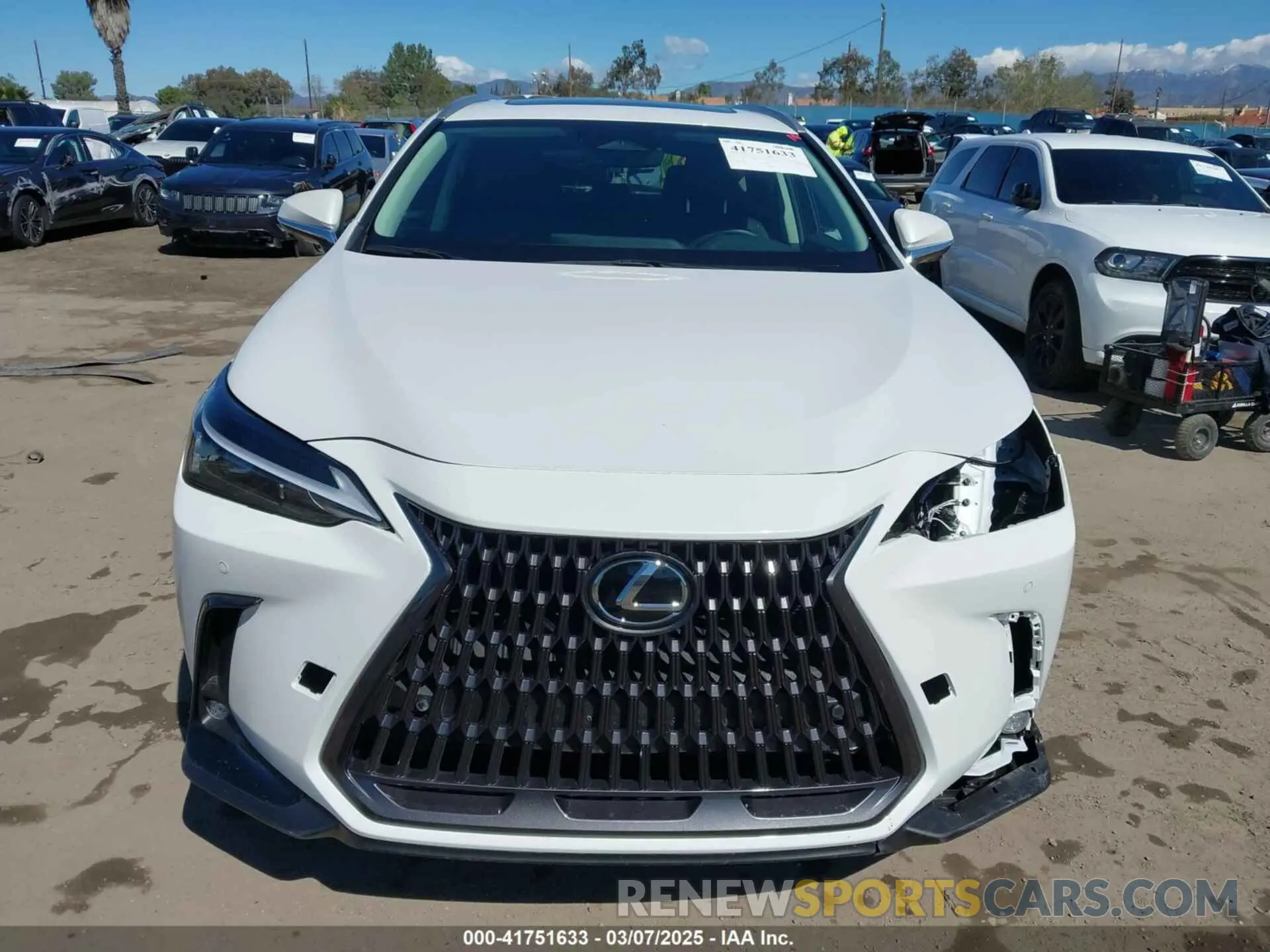 12 fotografías del automóvil dañado 2T2GGCEZ6RC054338 LEXUS NX 350 2024