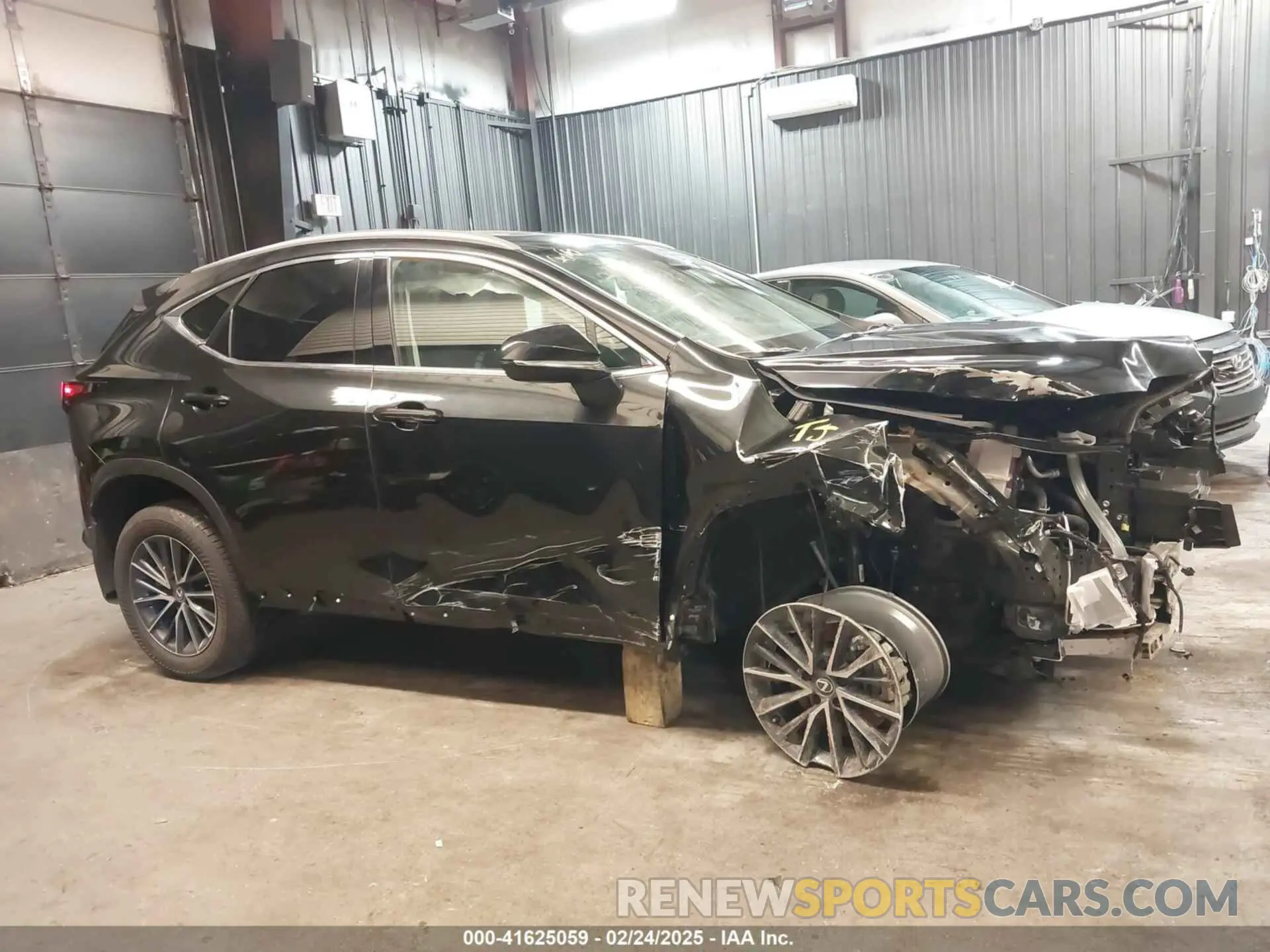 13 fotografías del automóvil dañado 2T2GGCEZ5SC063294 LEXUS NX 350 2025