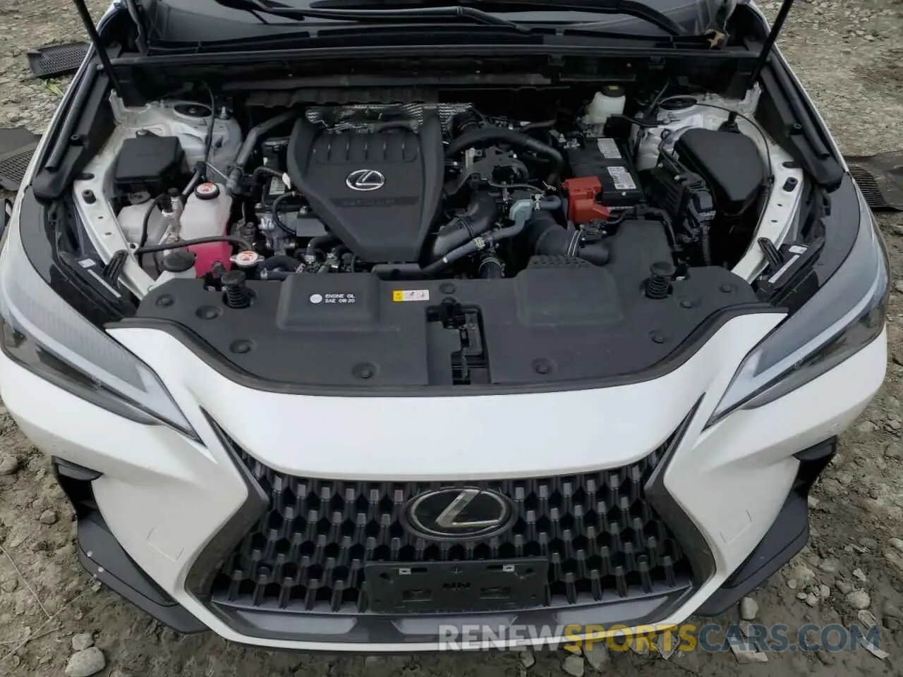 12 fotografías del automóvil dañado 2T2GGCEZ8SC064147 LEXUS NX 350 2025