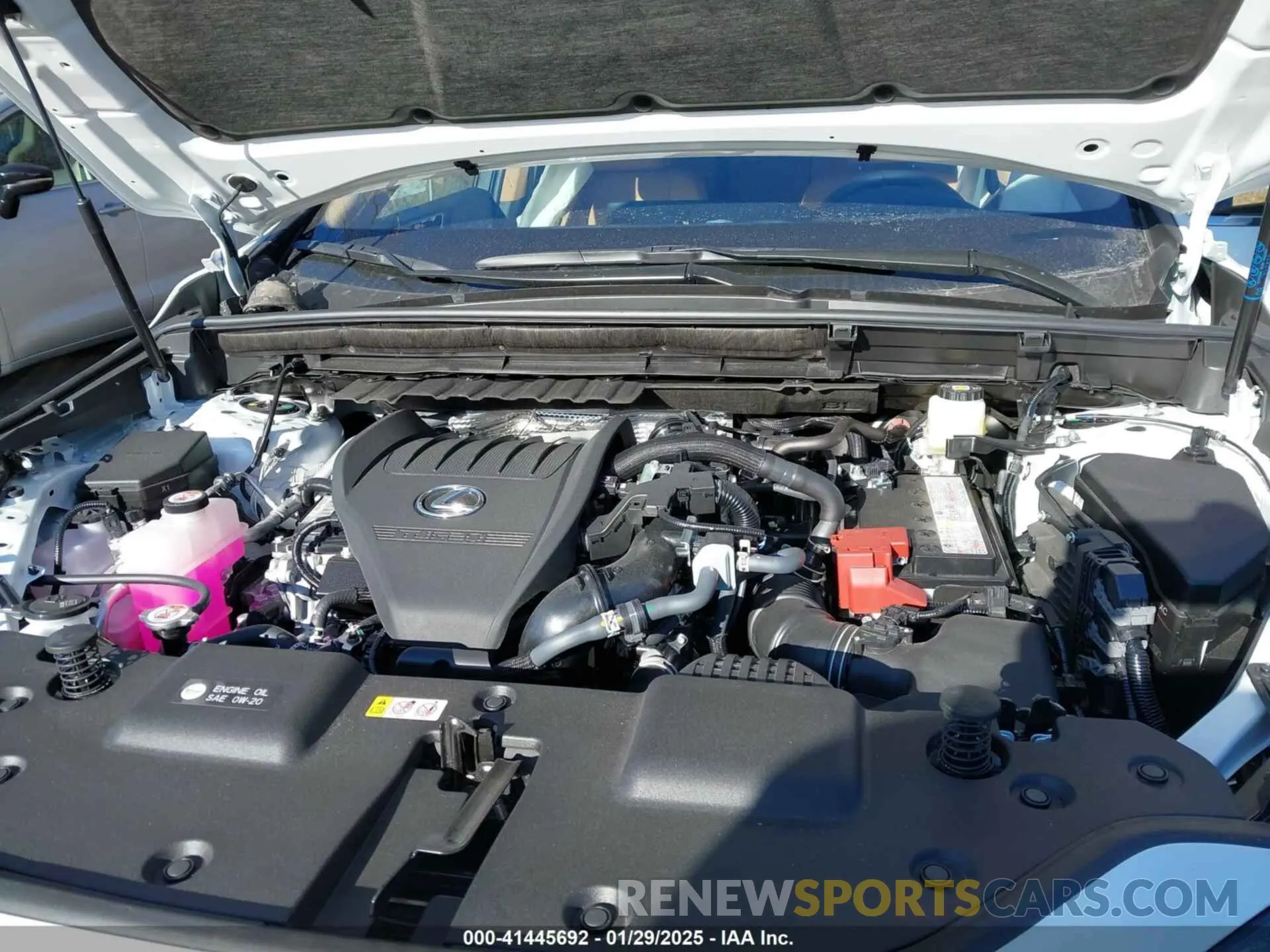 10 fotografías del automóvil dañado JTJGGCEZ4S2023563 LEXUS NX 350 2025