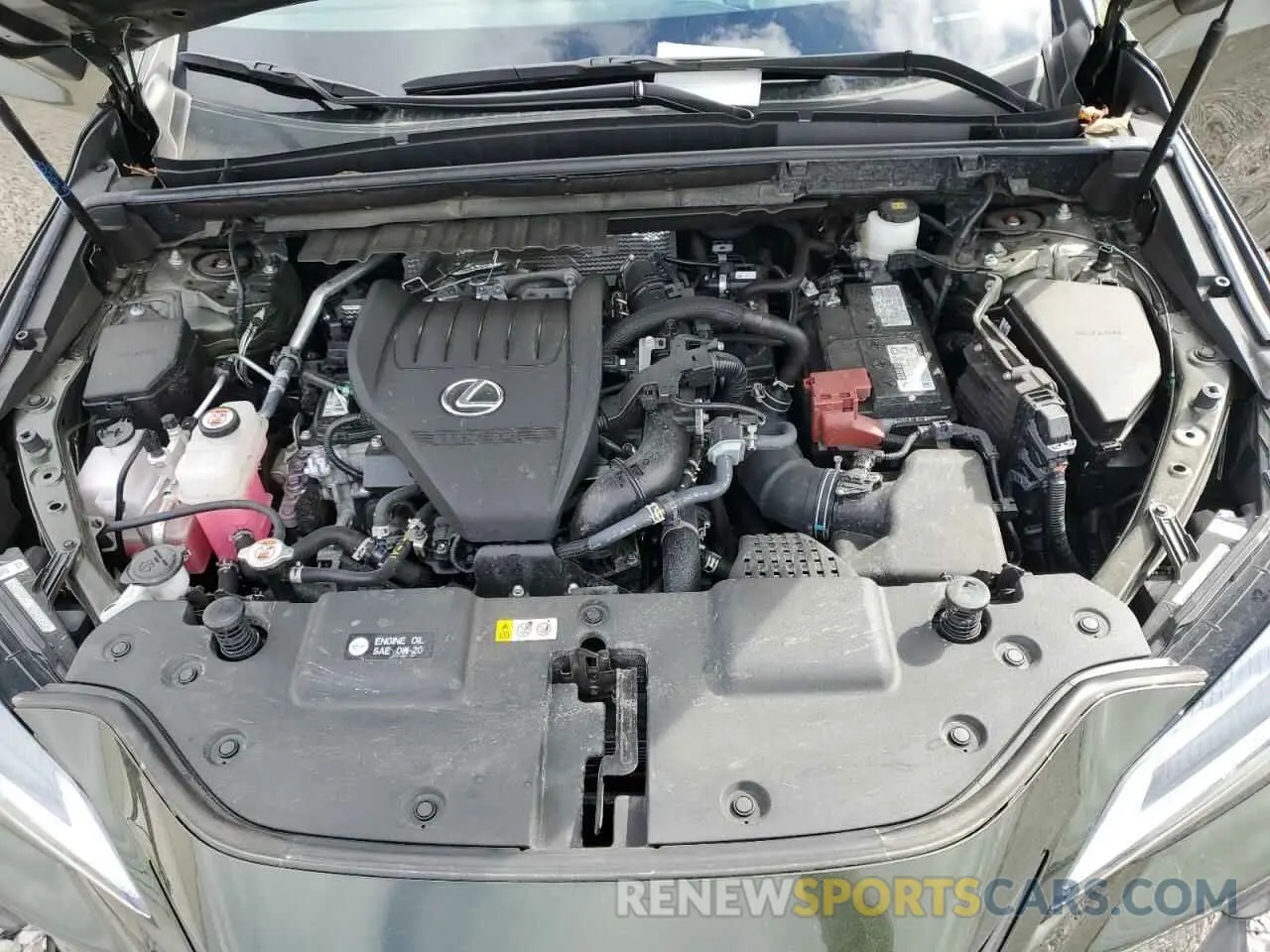 14 fotografías del automóvil dañado 2T2AGCEZ0RC053644 LEXUS NX 350 BAS 2024