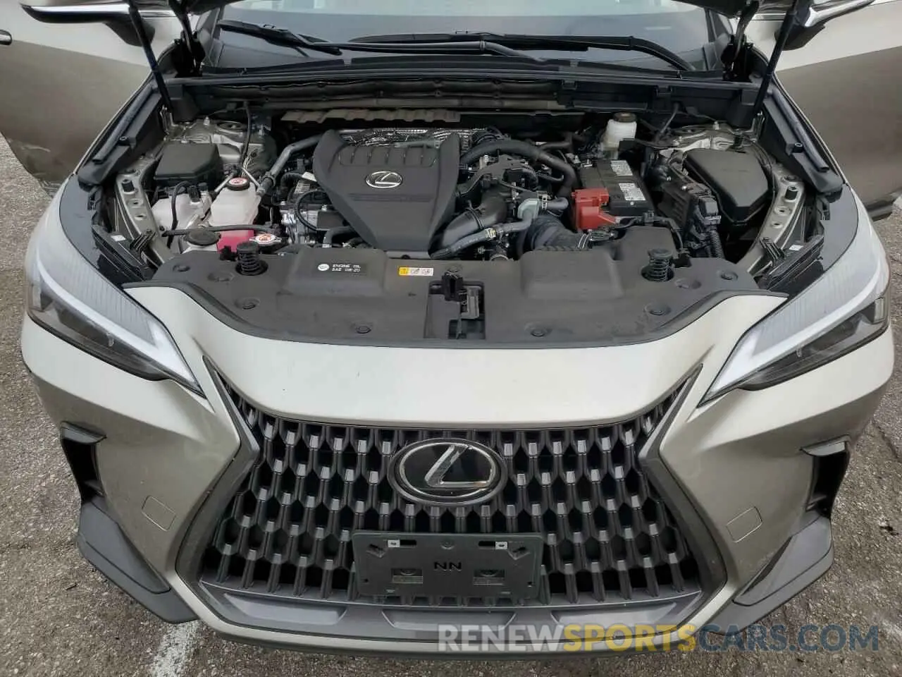 12 fotografías del automóvil dañado 2T2AGCEZ4RC047183 LEXUS NX 350 BAS 2024