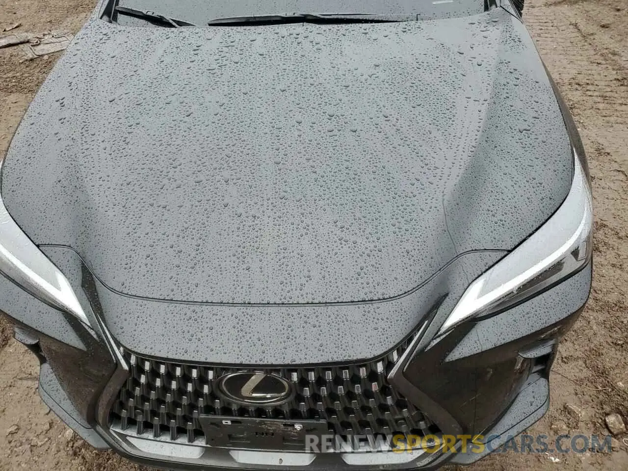 12 fotografías del automóvil dañado 2T2AGCEZ1SC071771 LEXUS NX 350 BAS 2025