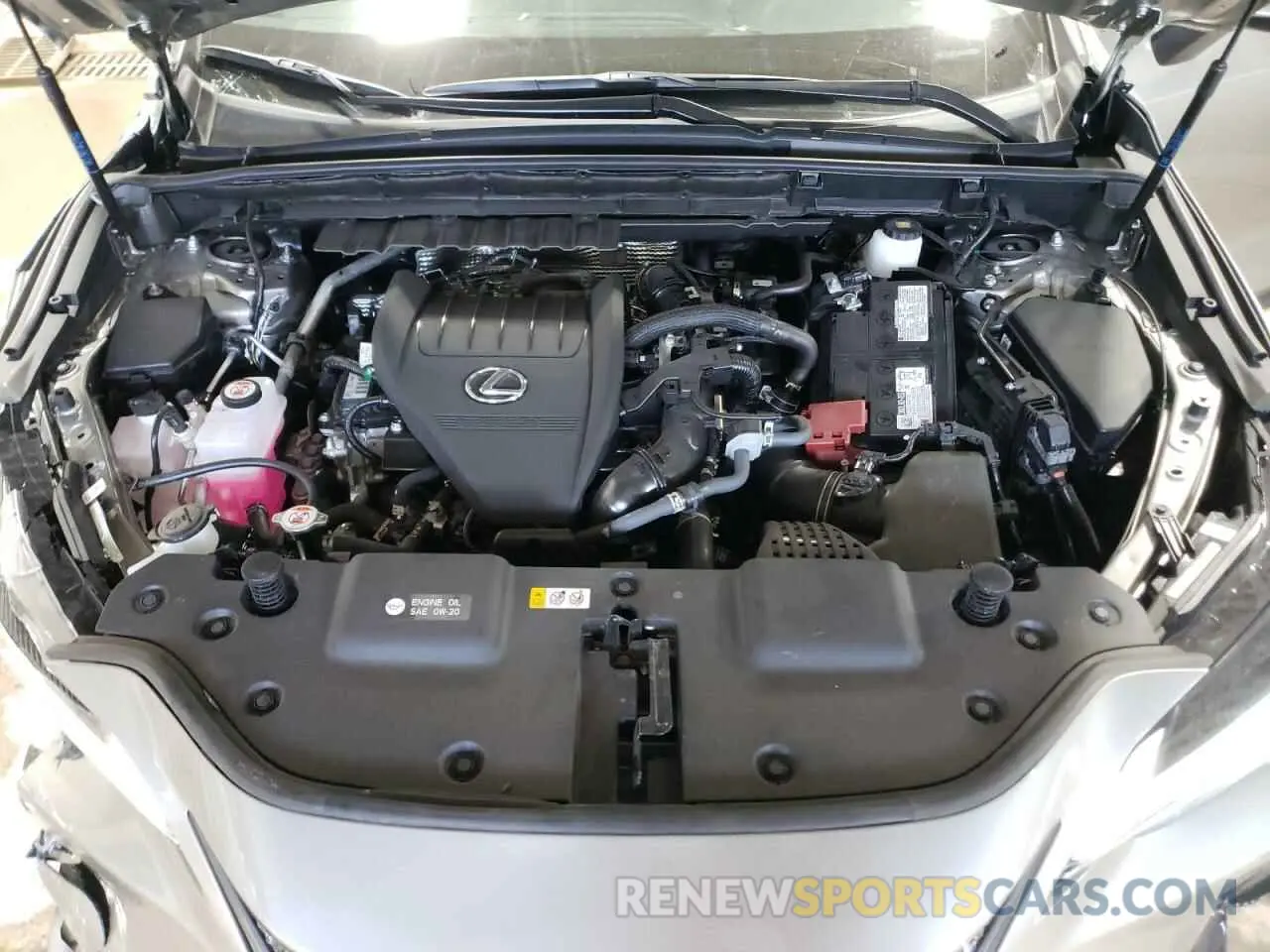 12 fotografías del automóvil dañado 2T2AGCEZ3SC069861 LEXUS NX 350 BAS 2025