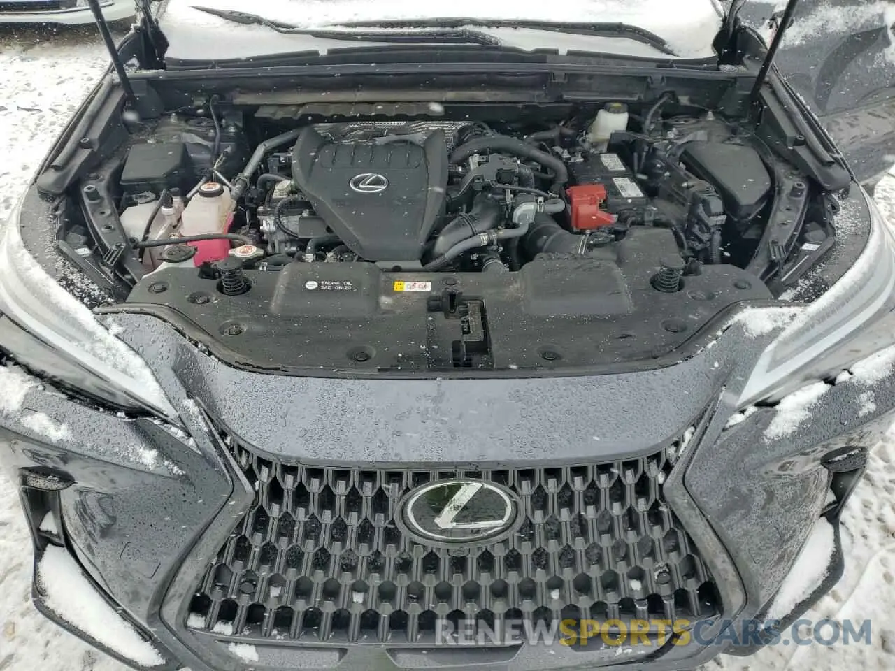 13 fotografías del automóvil dañado 2T2HGCEZ9RC032032 LEXUS NX 350 LUX 2024