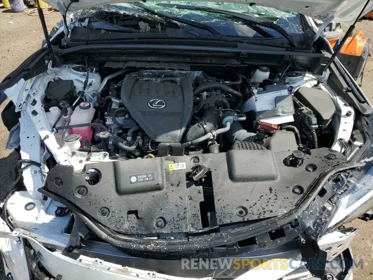 12 fotografías del automóvil dañado 2T2KGCEZ3RC051388 LEXUS NX 350 LUX 2024