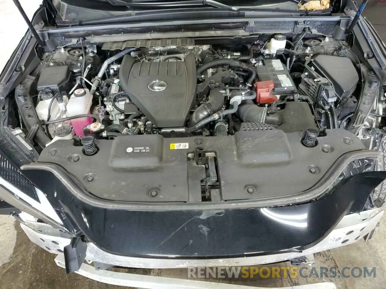 12 fotografías del automóvil dañado 2T2KGCEZ8RC039916 LEXUS NX 350 LUX 2024