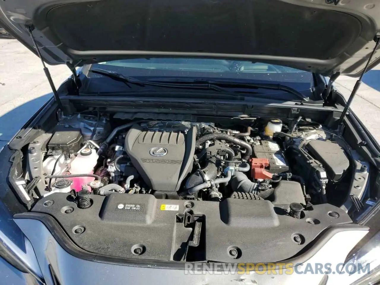 12 fotografías del automóvil dañado 2T2GGCEZ4RC046464 LEXUS NX 350 PRE 2024