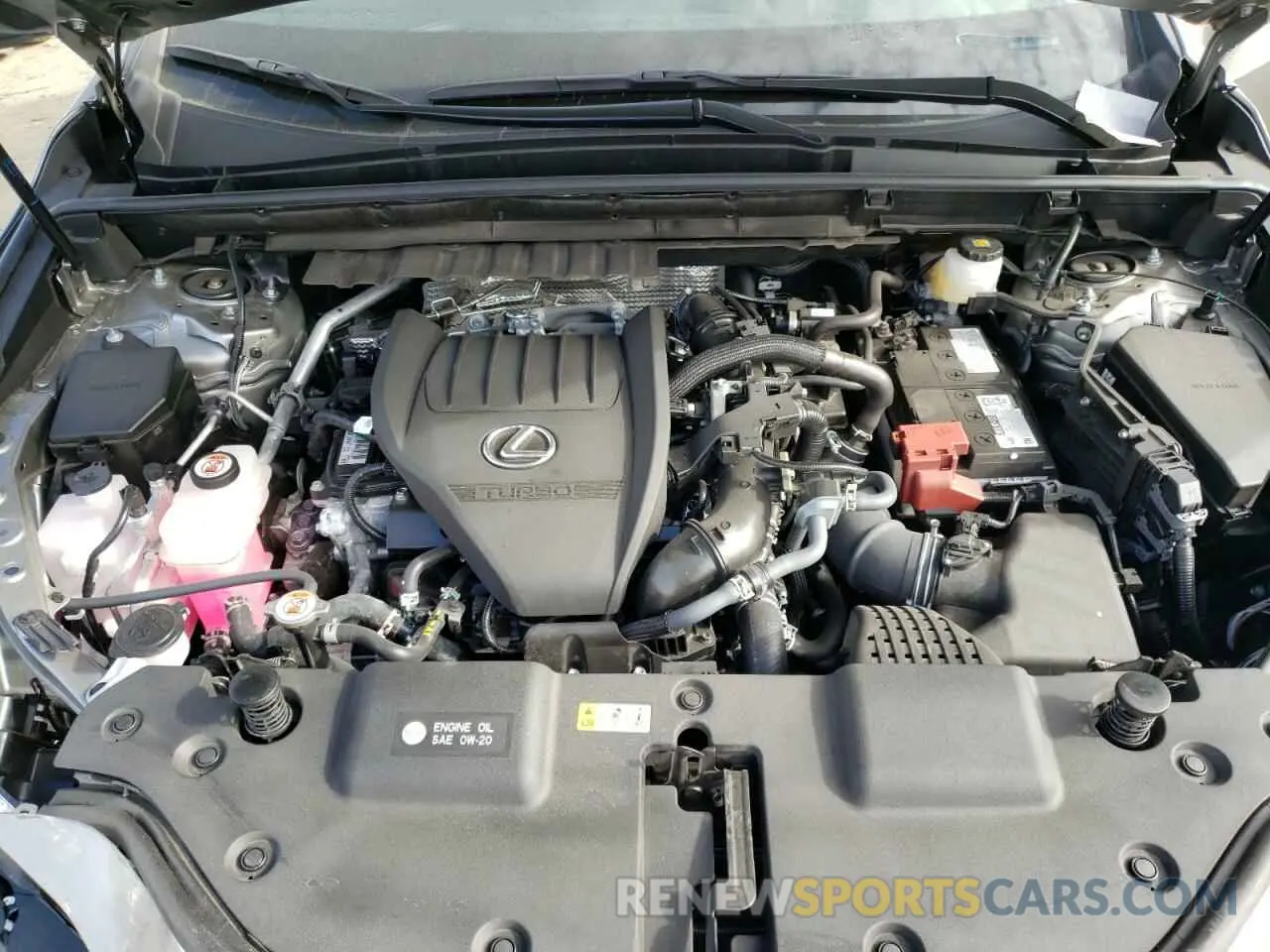 13 fotografías del automóvil dañado 2T2GGCEZ5RC052418 LEXUS NX 350 PRE 2024