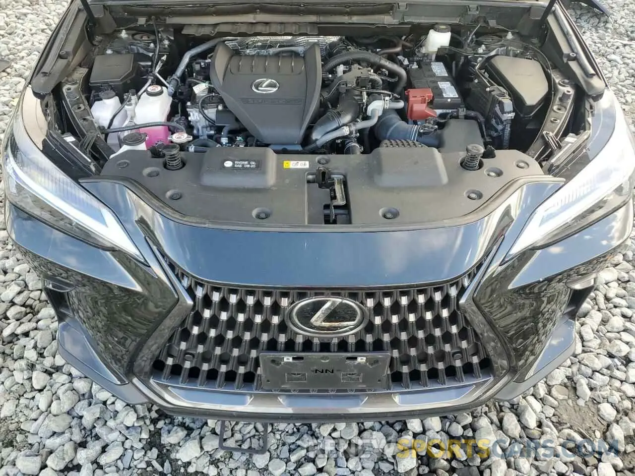 12 fotografías del automóvil dañado 2T2GGCEZ7RC051142 LEXUS NX 350 PRE 2024
