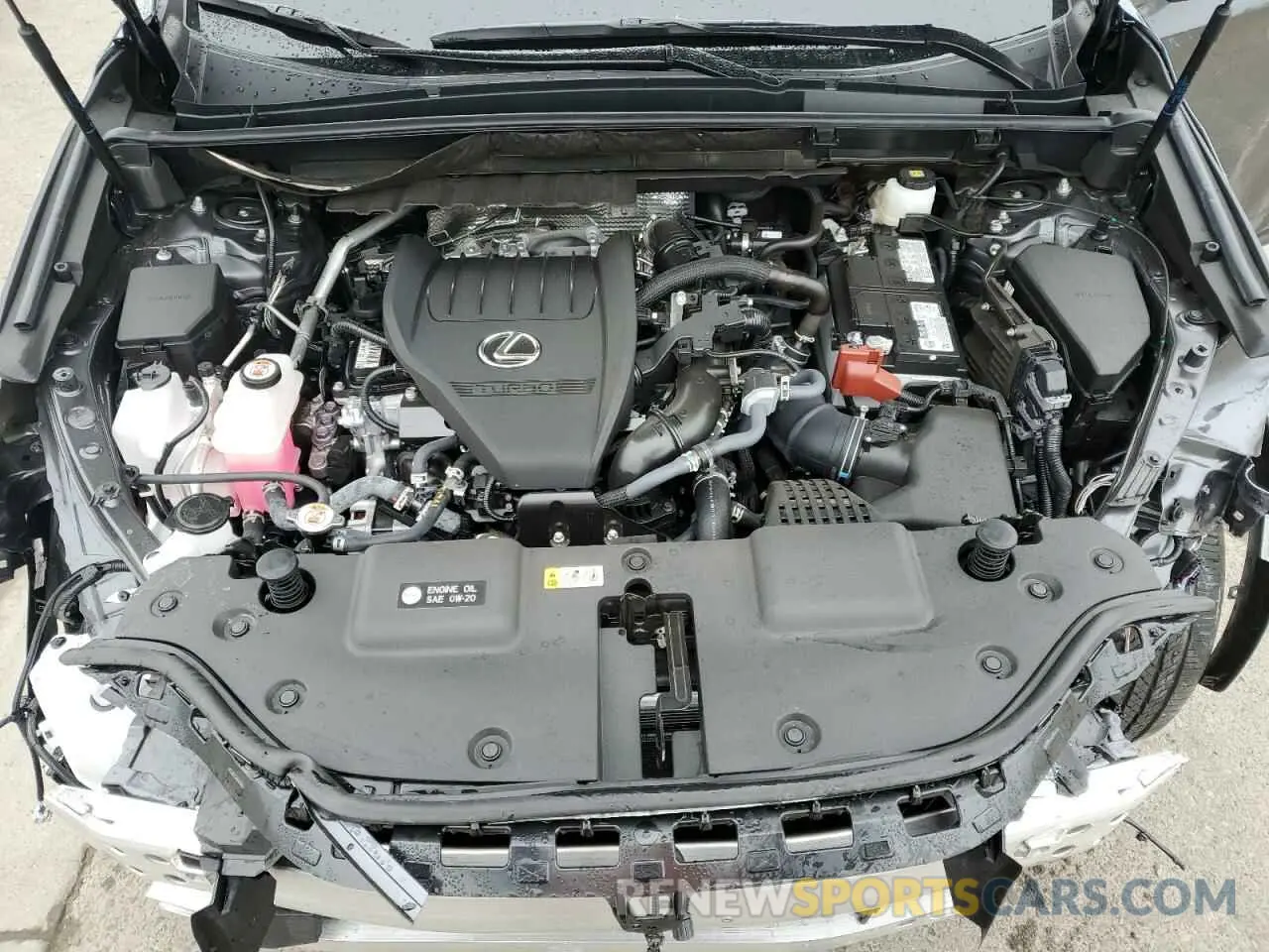 12 fotografías del automóvil dañado 2T2GGCEZ9RC053104 LEXUS NX 350 PRE 2024
