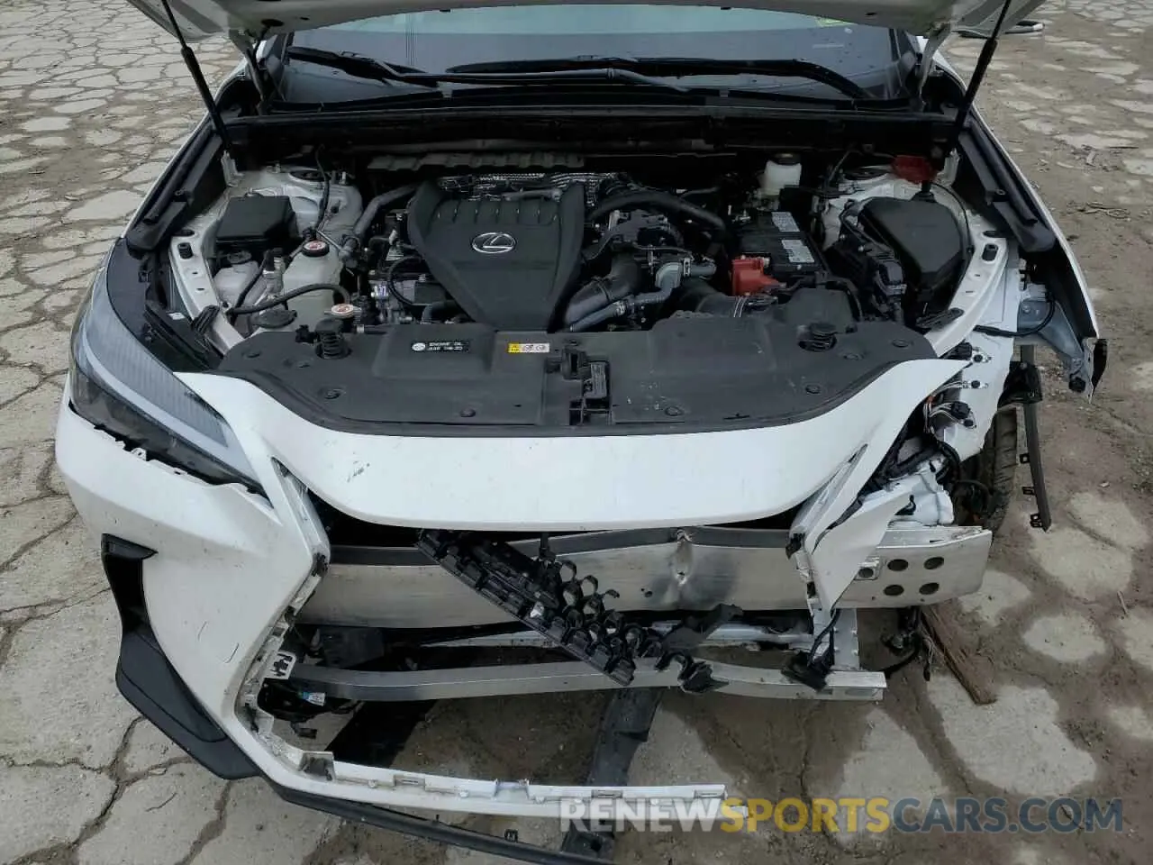 12 fotografías del automóvil dañado 2T2GGCEZ9RC058514 LEXUS NX 350 PRE 2024