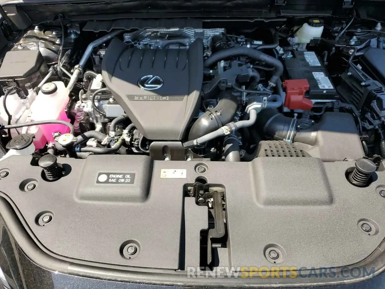 13 fotografías del automóvil dañado 2T2GGCEZ1SC073837 LEXUS NX 350 PRE 2025