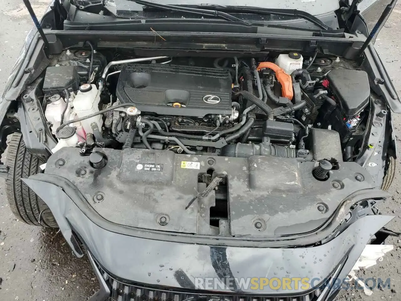 13 fotografías del automóvil dañado 2T2GKCEZ8NC008566 LEXUS NX 350H 2022