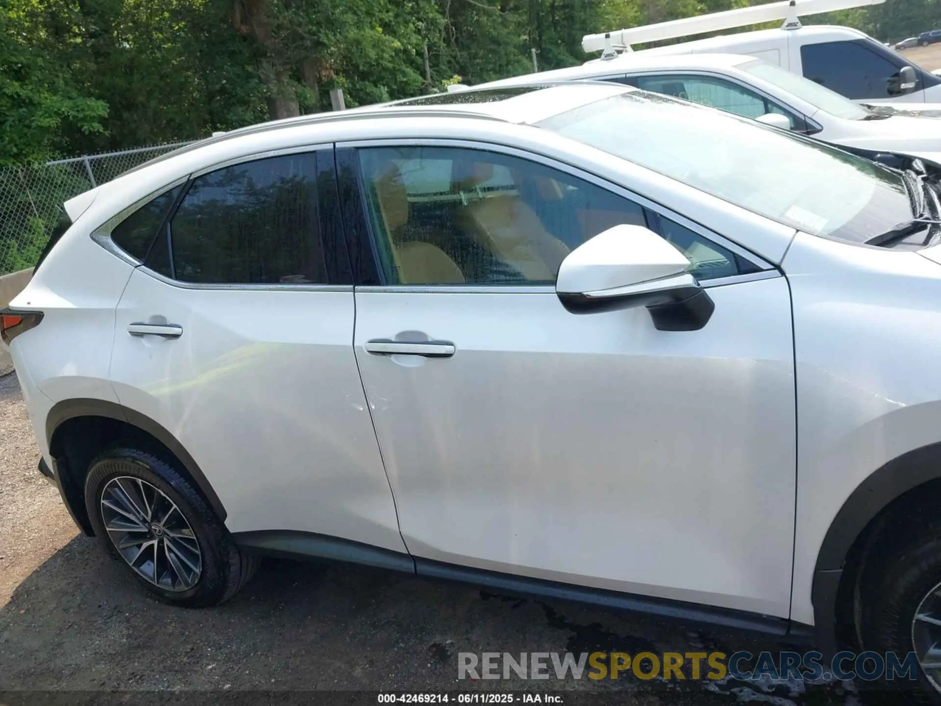 13 fotografías del automóvil dañado 2T2GKCEZ2RC020010 LEXUS NX 350H 2024