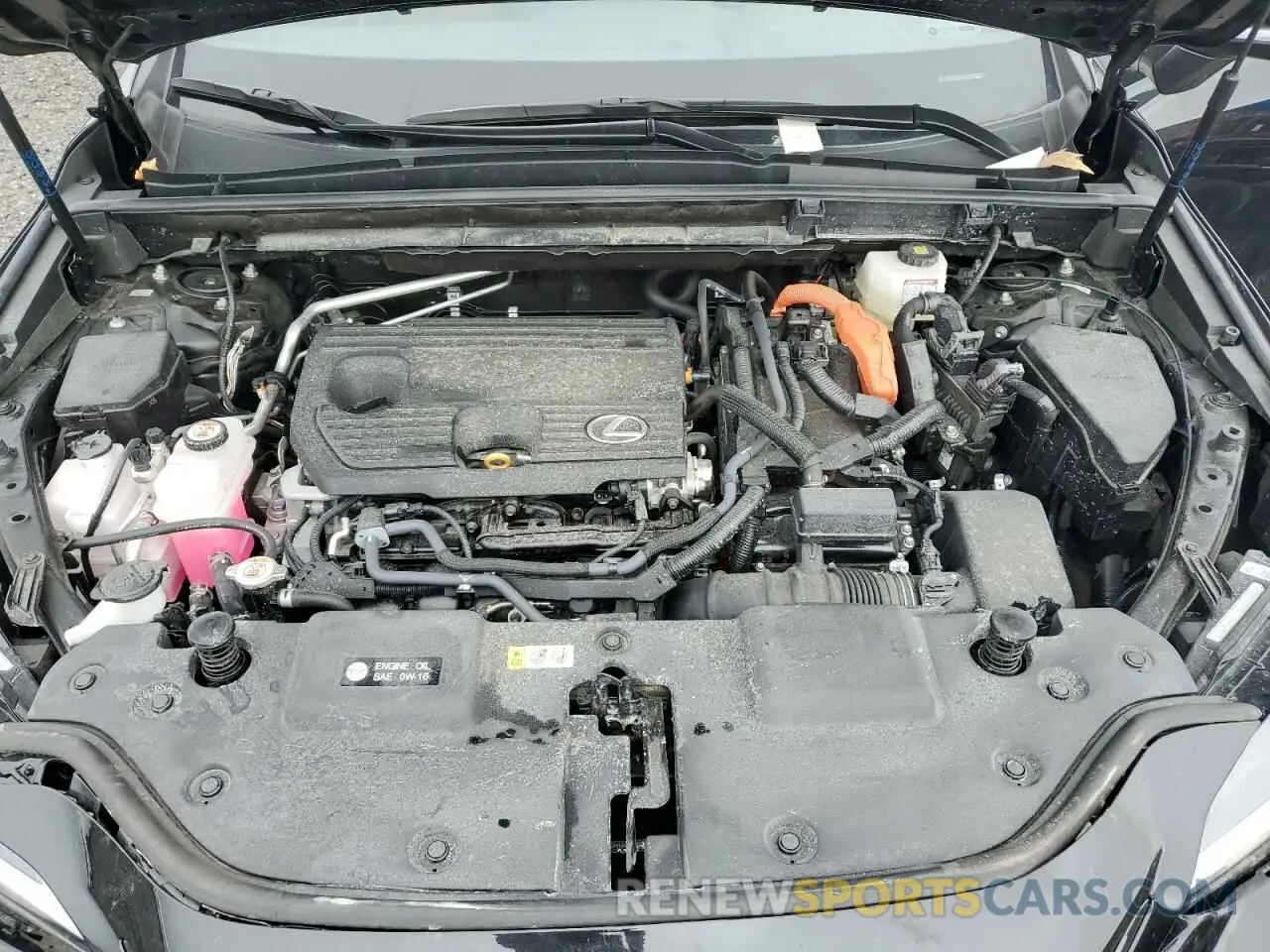 12 fotografías del automóvil dañado 2T2GKCEZ0RC022385 LEXUS NX 350H BA 2024
