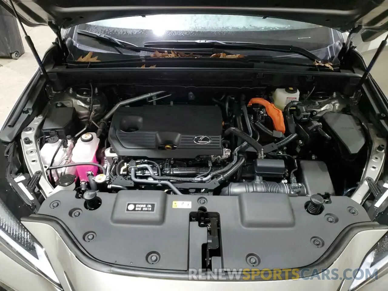 12 fotografías del automóvil dañado 2T2GKCEZ4SC040118 LEXUS NX 350H BA 2025