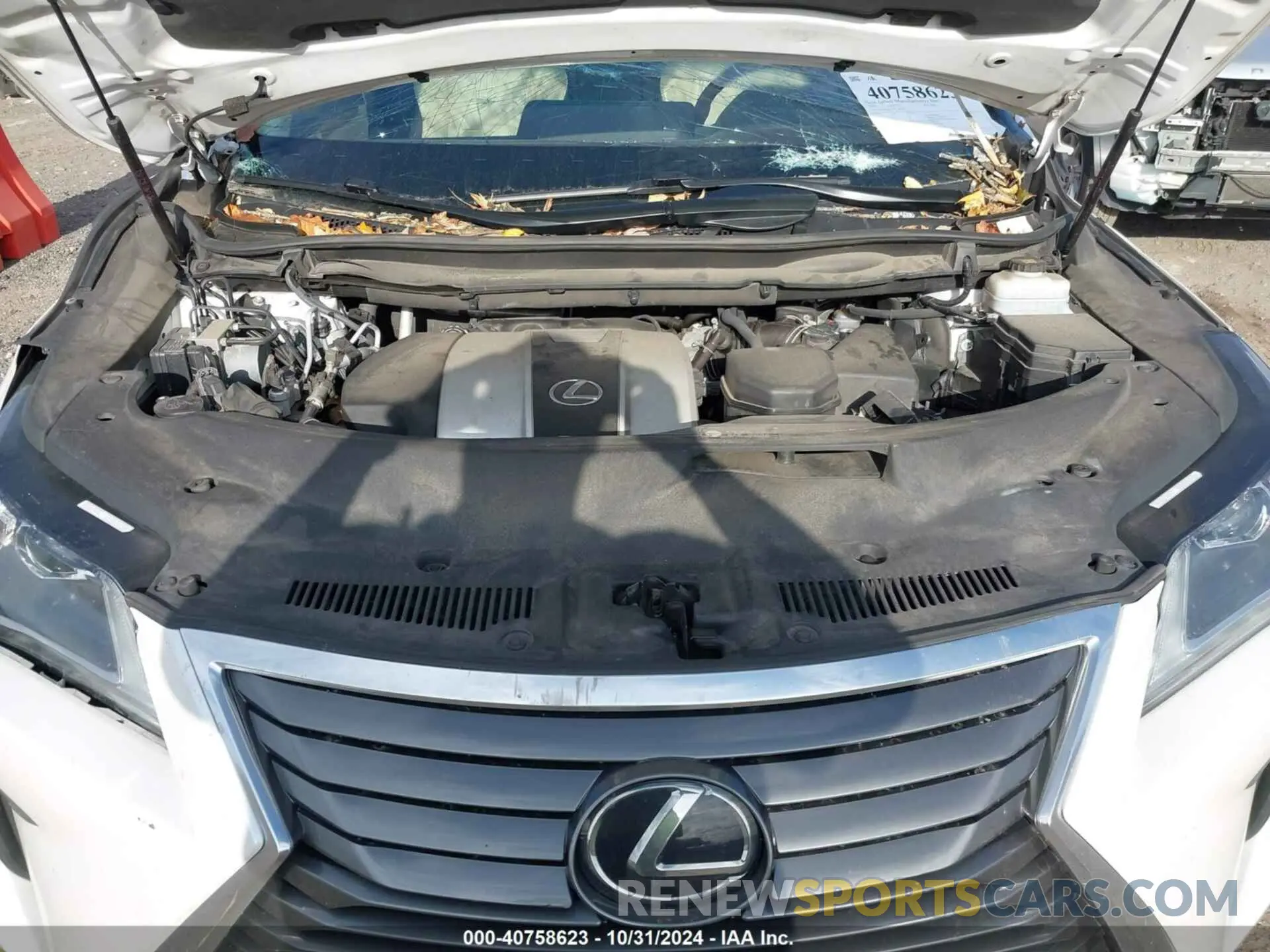 10 fotografías del automóvil dañado 2T2BZMCA1KC202411 LEXUS RX 350 2019