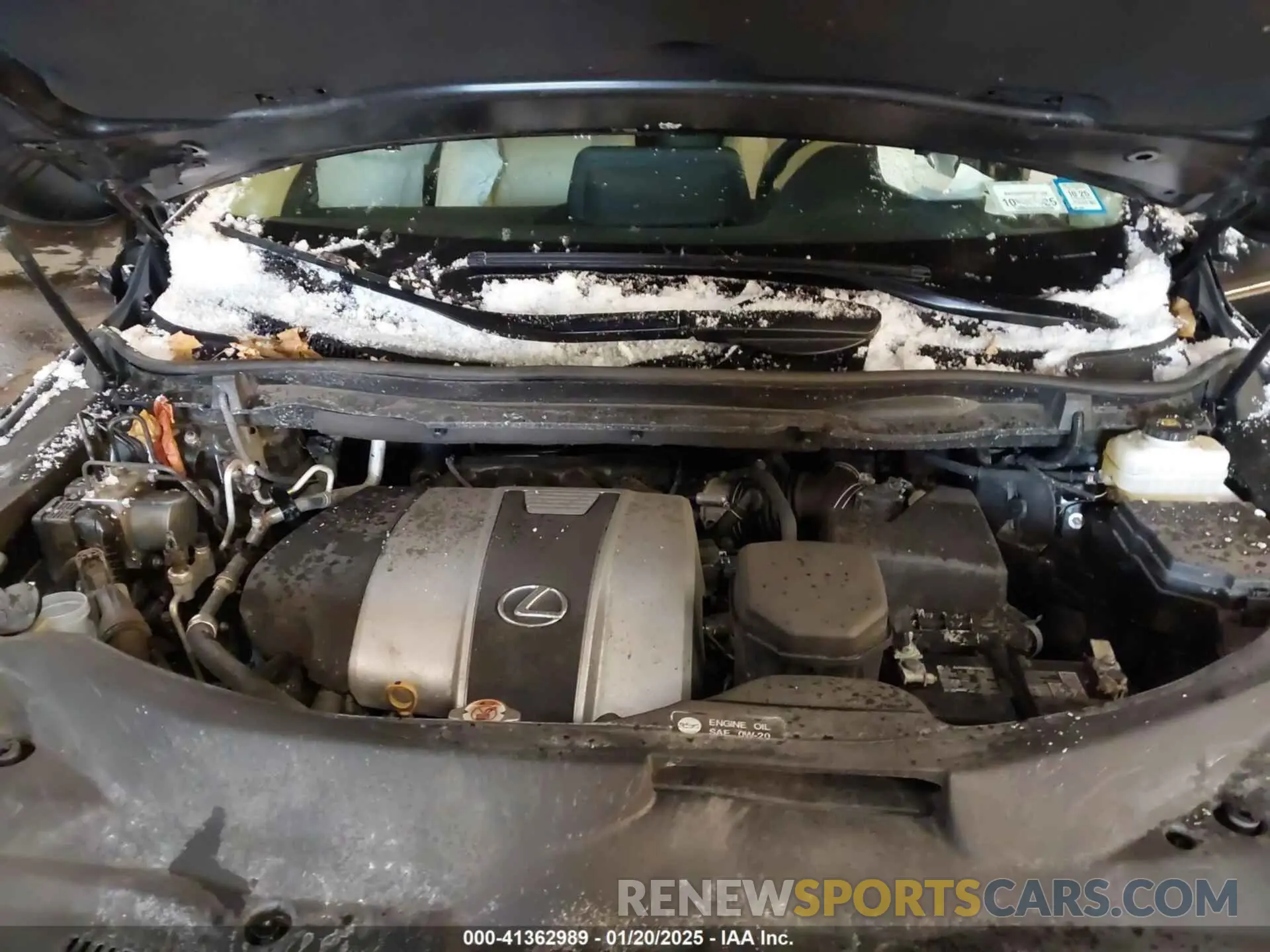 10 fotografías del automóvil dañado 2T2HZMDA3NC352906 LEXUS RX 350 2022