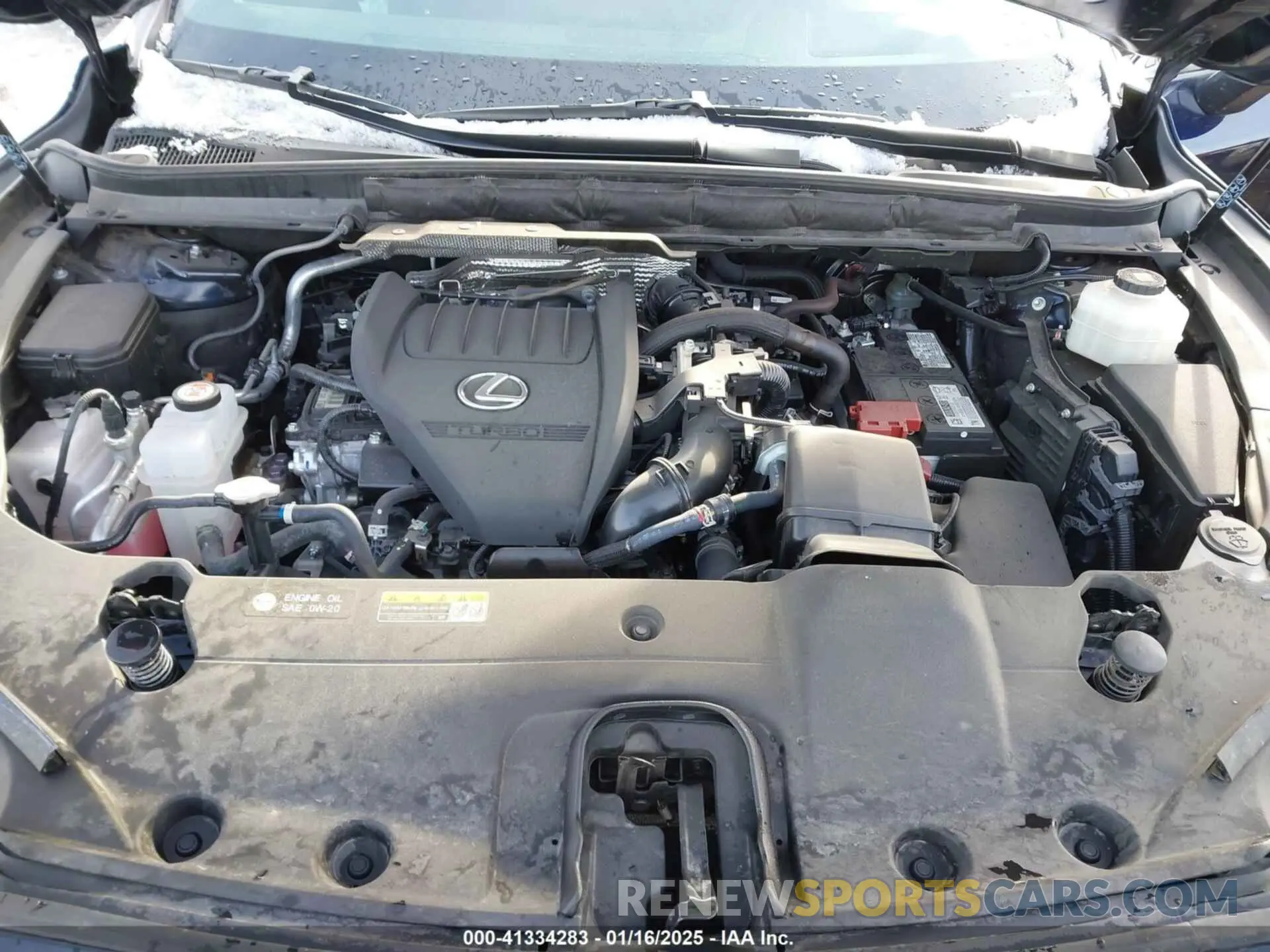 10 fotografías del automóvil dañado 2T2BAMCA1PC019377 LEXUS RX 350 2023