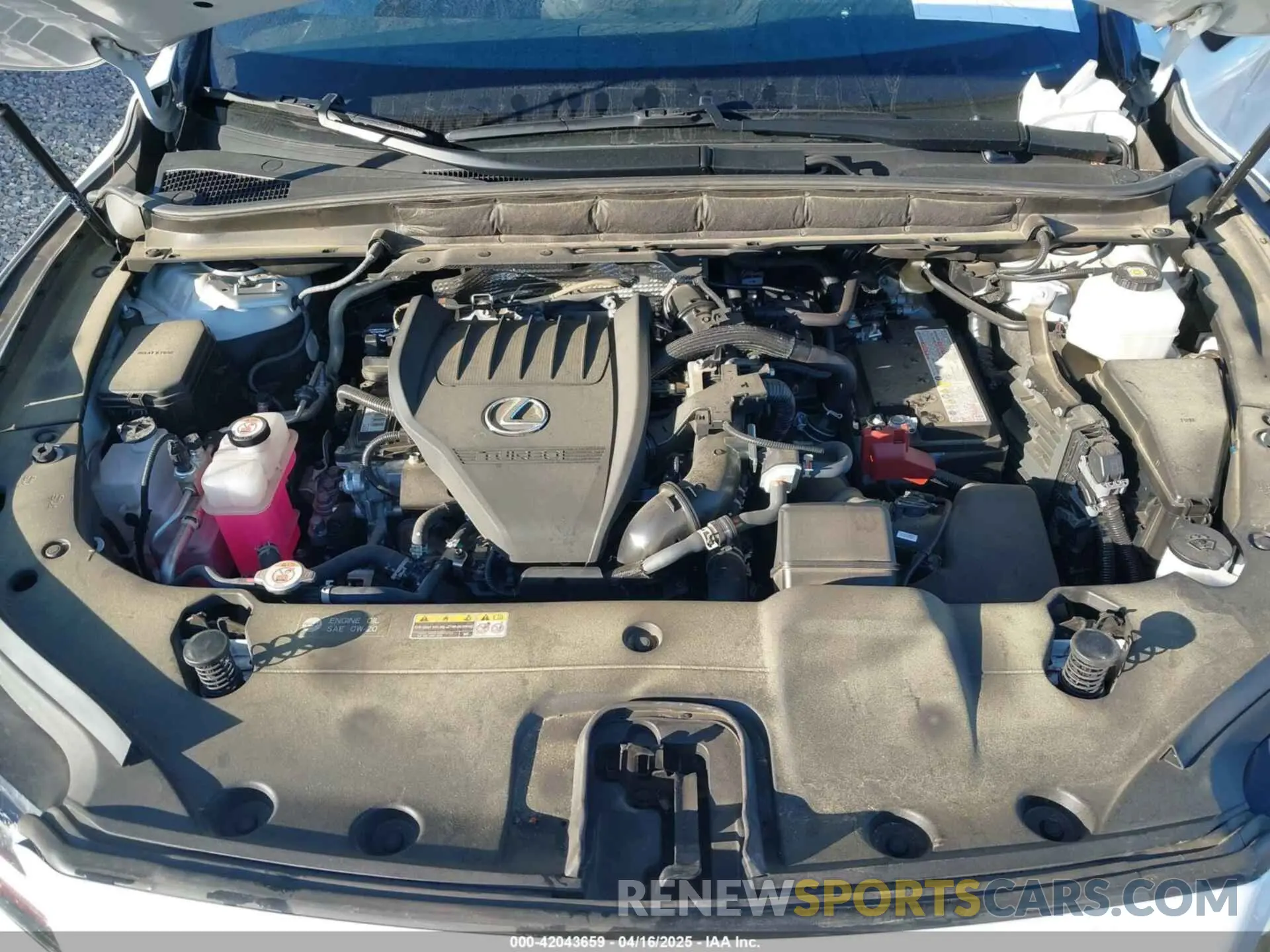 10 fotografías del automóvil dañado JTJCHMAA7P2002716 LEXUS RX 350 2023