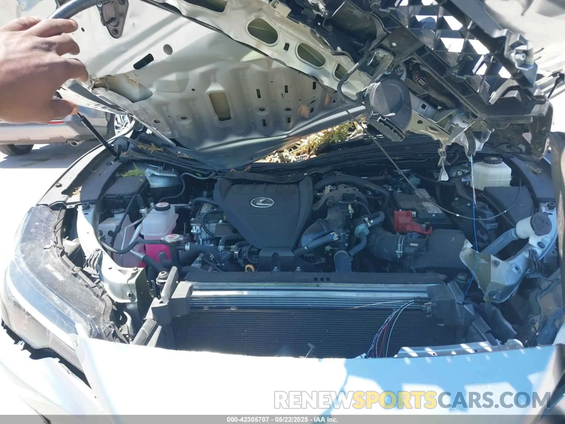 10 fotografías del automóvil dañado 2T2BAMCA4RC080841 LEXUS RX 350 2024