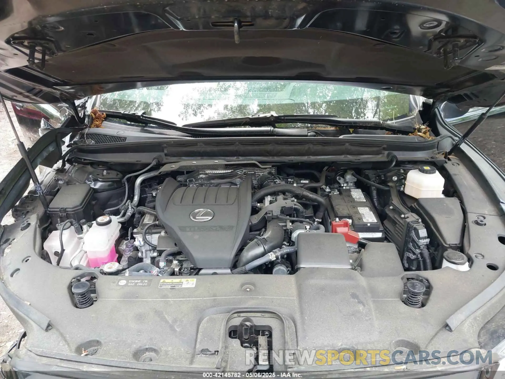 10 fotografías del automóvil dañado 2T2BAMCAXRC038674 LEXUS RX 350 2024