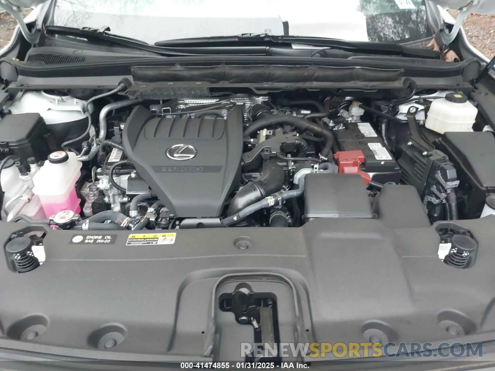 10 fotografías del automóvil dañado 2T2BAMCAXRC071786 LEXUS RX 350 2024