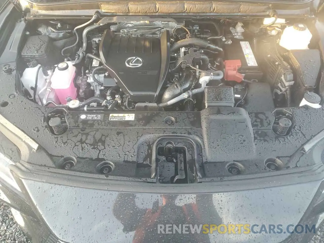 12 fotografías del automóvil dañado JTJCHMAA5R2016827 LEXUS RX 350 PRE 2024