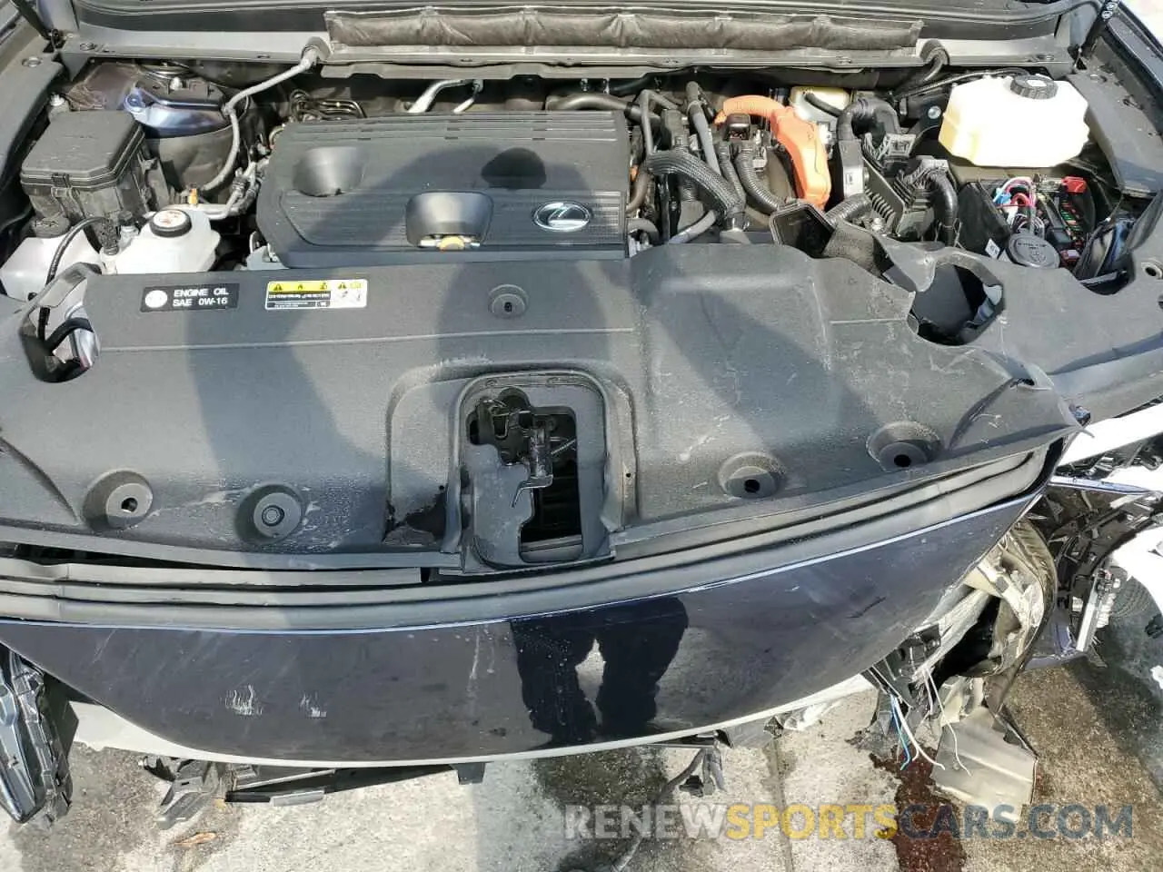 12 fotografías del automóvil dañado 2T2BBMCA3PC019829 LEXUS RX 350H BA 2023