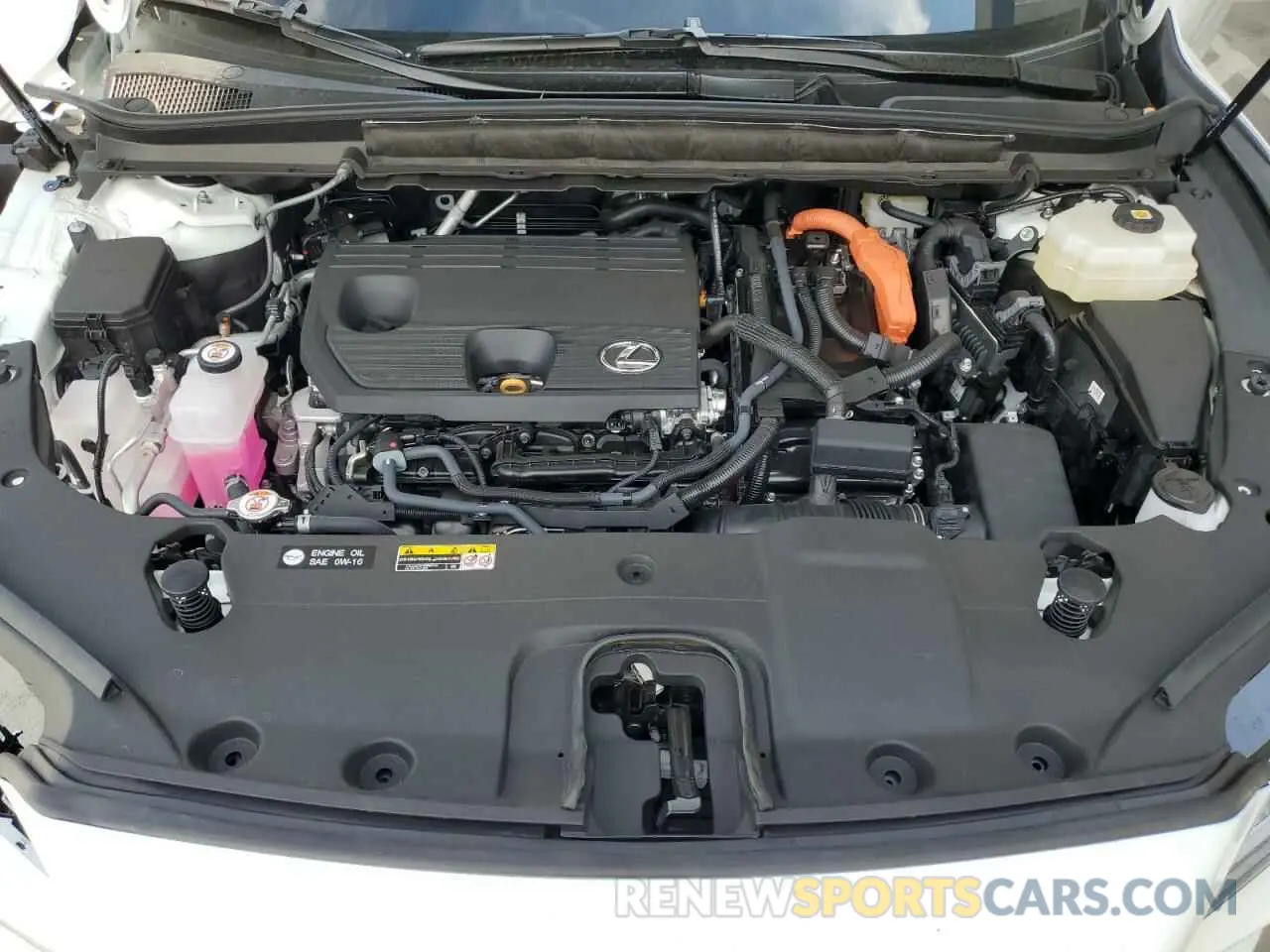 12 fotografías del automóvil dañado 2T2BBMCA4RC053751 LEXUS RX 350H BA 2024