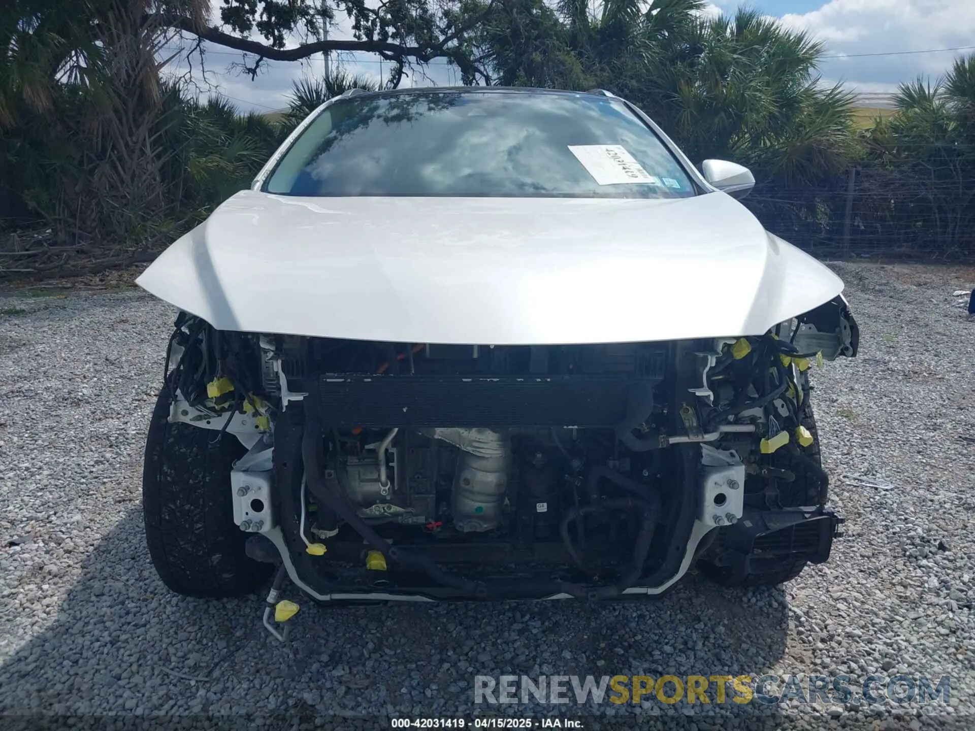 13 fotografías del automóvil dañado 2T2JGMDA9MC058061 LEXUS RX 450H 2021
