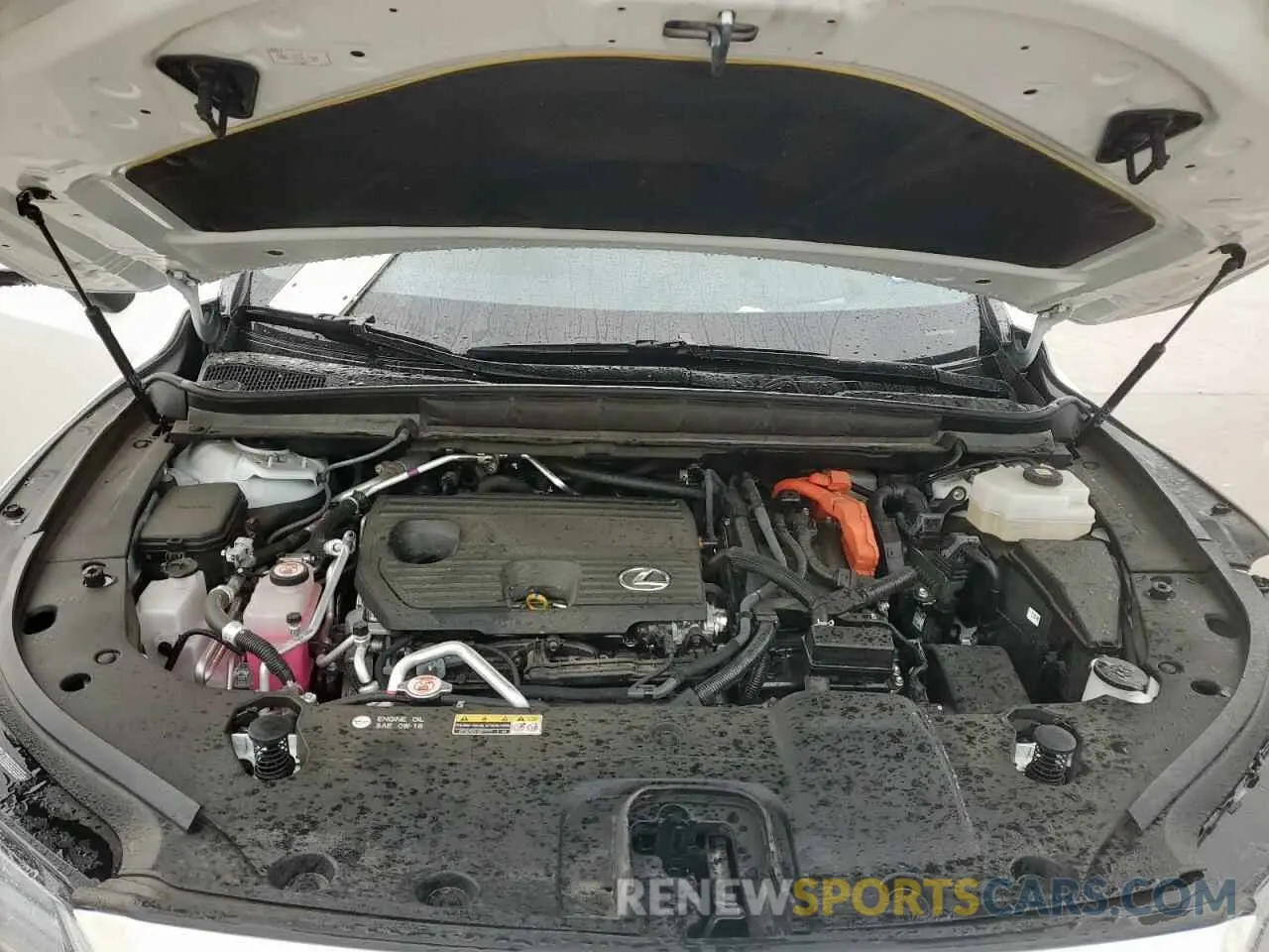 11 fotografías del automóvil dañado JTJCJMGA8R2011729 LEXUS RX 450H+ L 2024