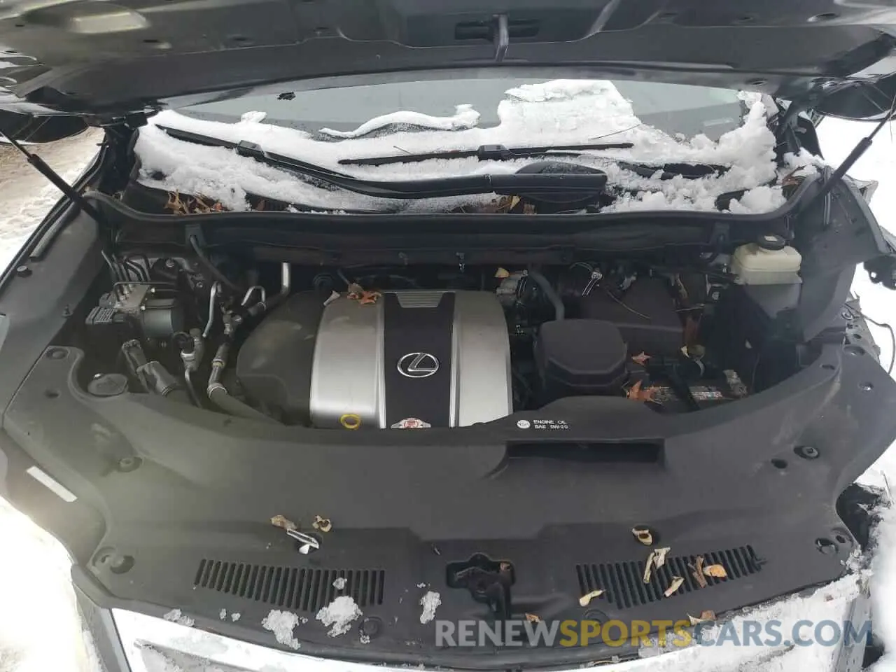 12 fotografías del automóvil dañado 2T2BZMCA8KC172212 LEXUS RX350 2019