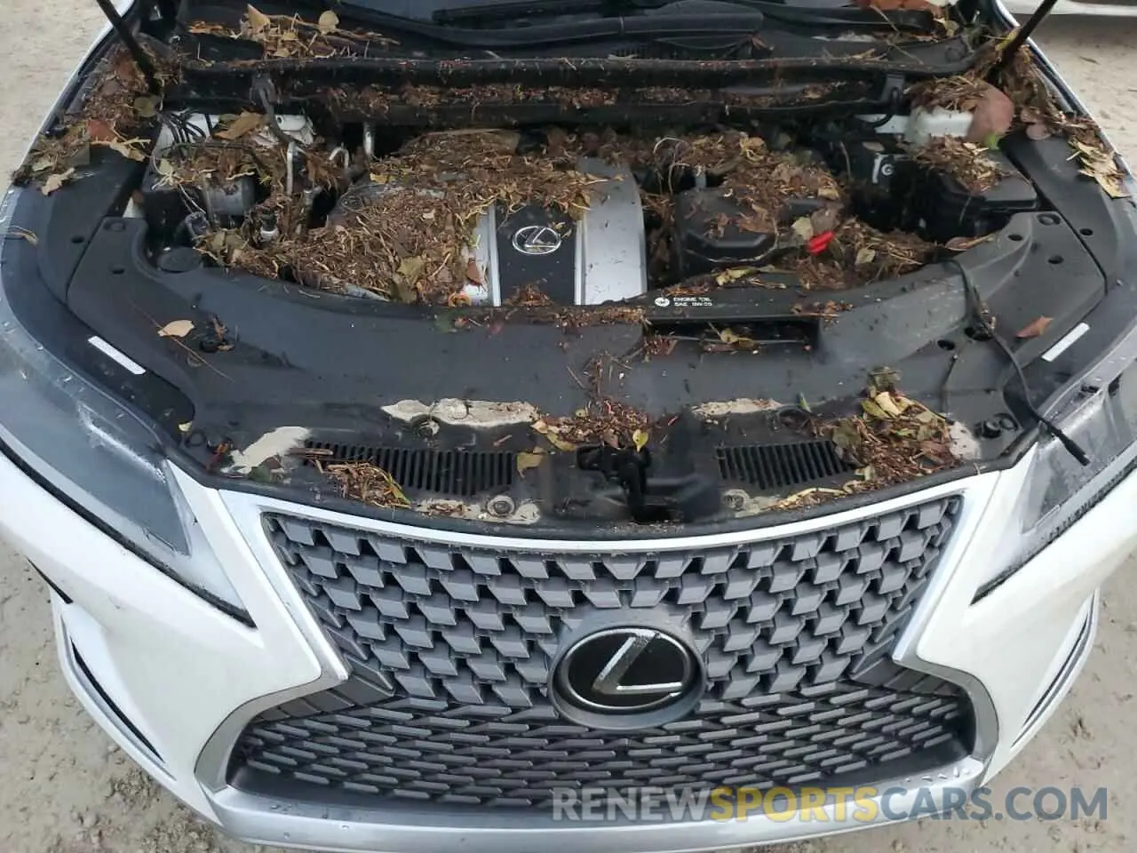 7 fotografías del automóvil dañado 2T2HZMAA4LC162971 LEXUS RX350 2020