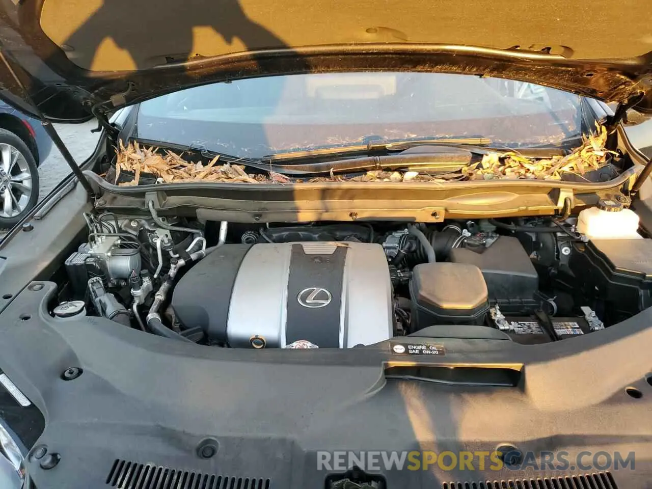 7 fotografías del automóvil dañado 2T2YZMDA5LC237768 LEXUS RX350 2020