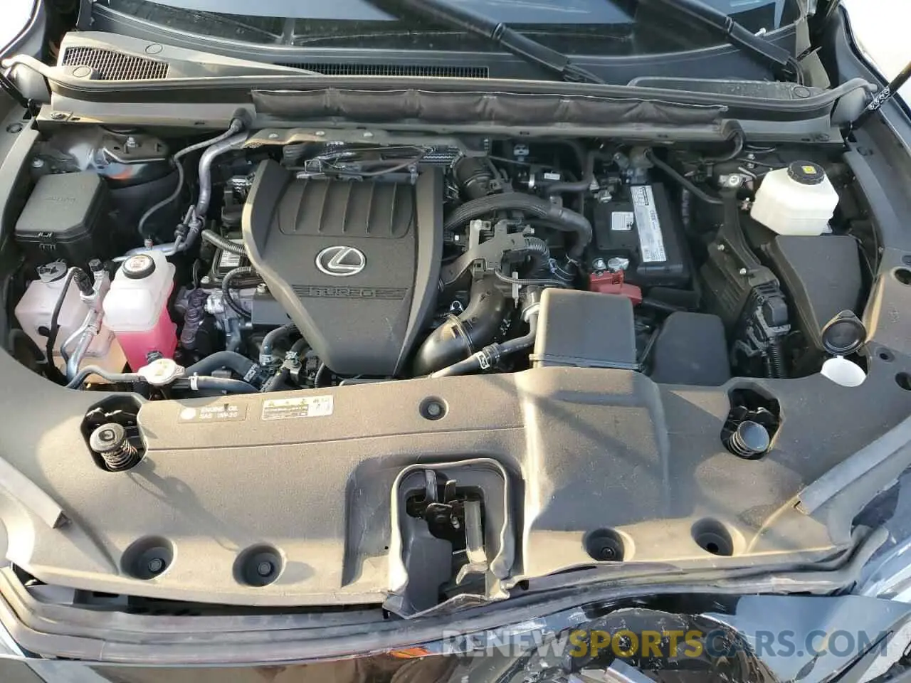 14 fotografías del automóvil dañado 2T2BAMBA8PC007406 LEXUS RX350 2023