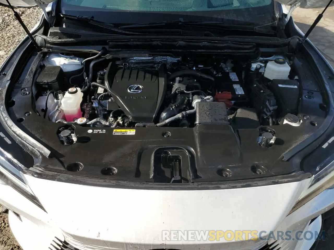 12 fotografías del automóvil dañado 2T2BAMCA3PC022040 LEXUS RX350 2023