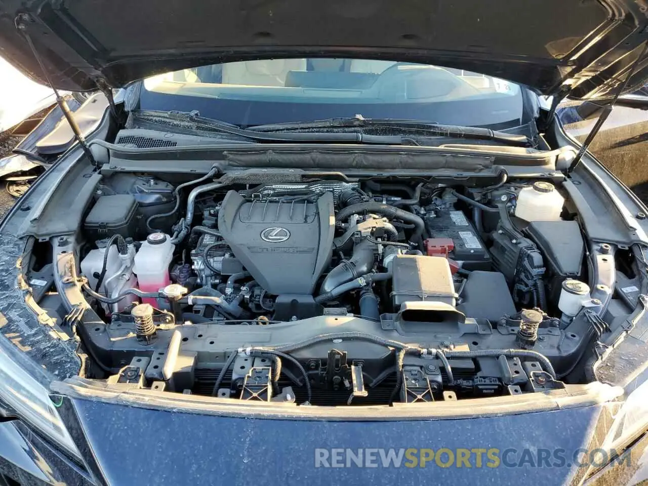 12 fotografías del automóvil dañado 2T2BAMCA4PC027618 LEXUS RX350 2023