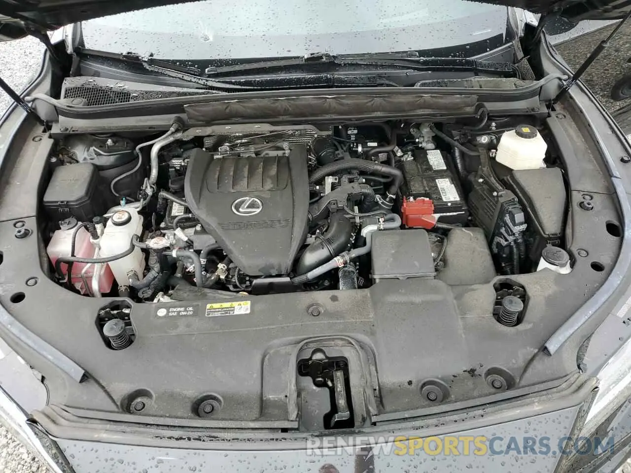 12 fotografías del automóvil dañado 2T2BAMCA7PC004804 LEXUS RX350 2023