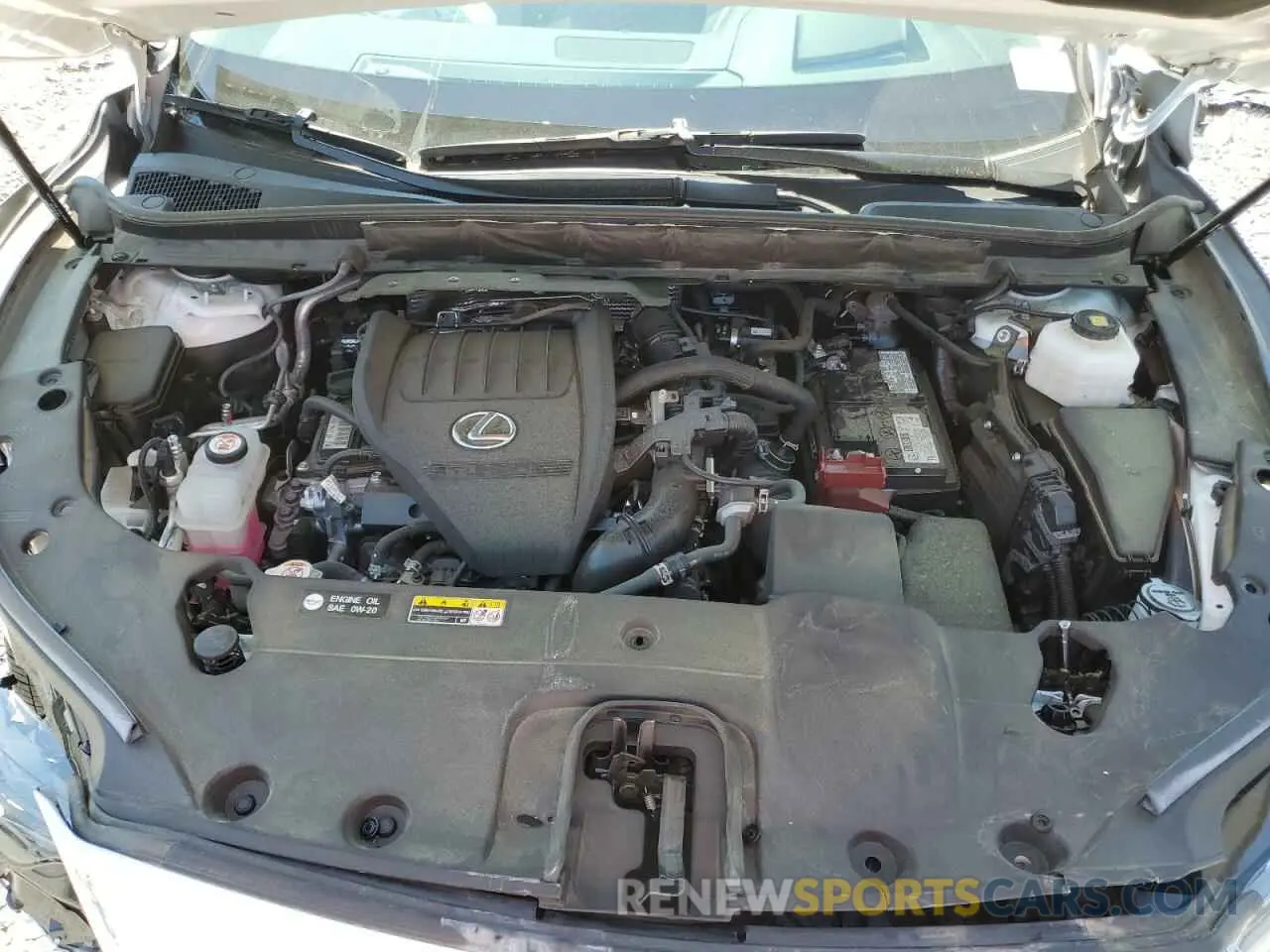 13 fotografías del automóvil dañado 2T2BAMCA8PC006271 LEXUS RX350 2023