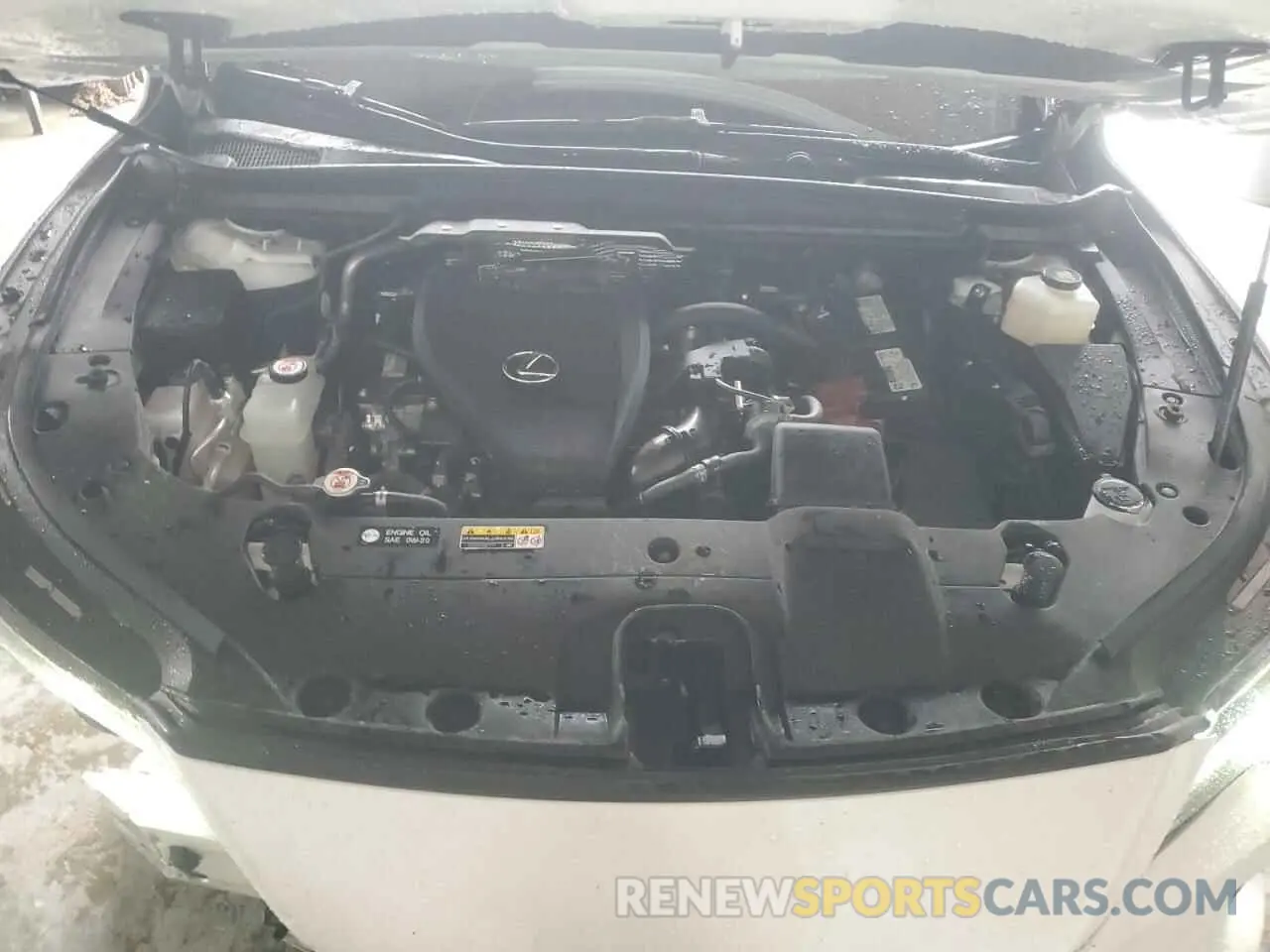 12 fotografías del automóvil dañado 2T2BAMBAXRC036523 LEXUS RX350 2024