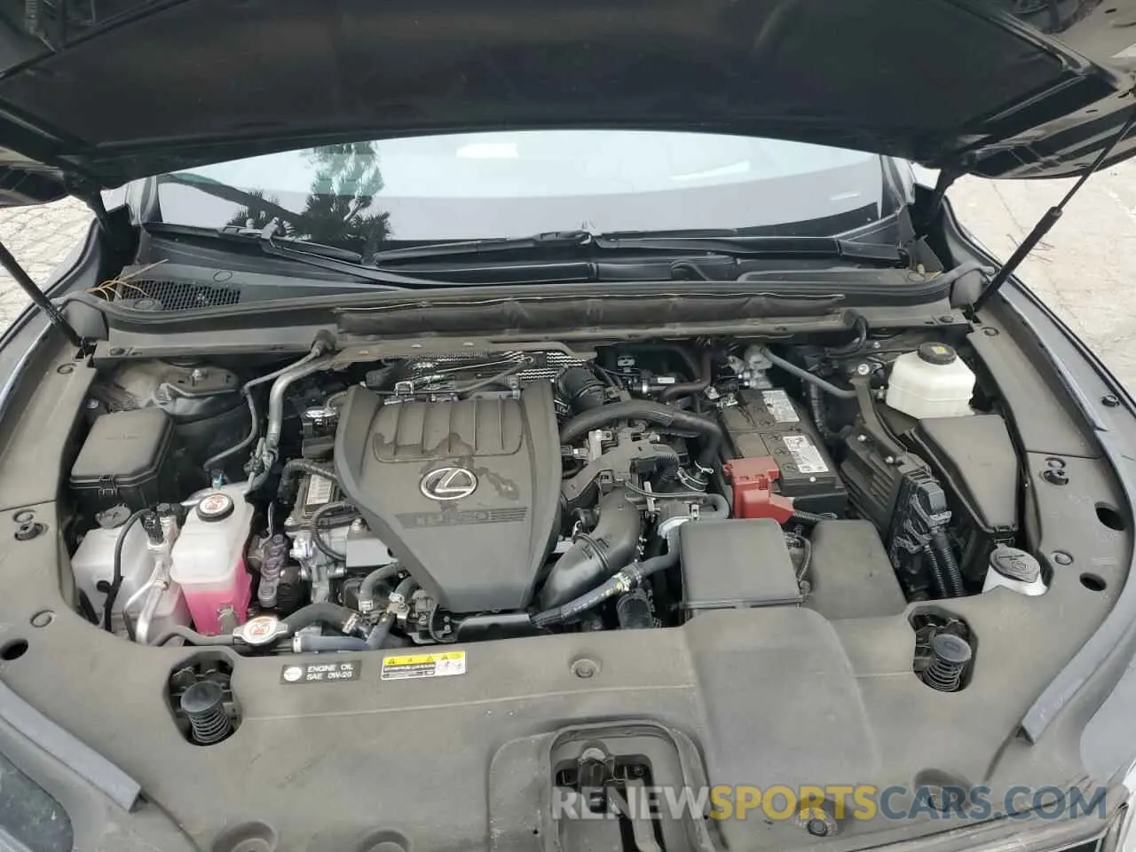 13 fotografías del automóvil dañado 2T2BAMCA1RC040460 LEXUS RX350 2024