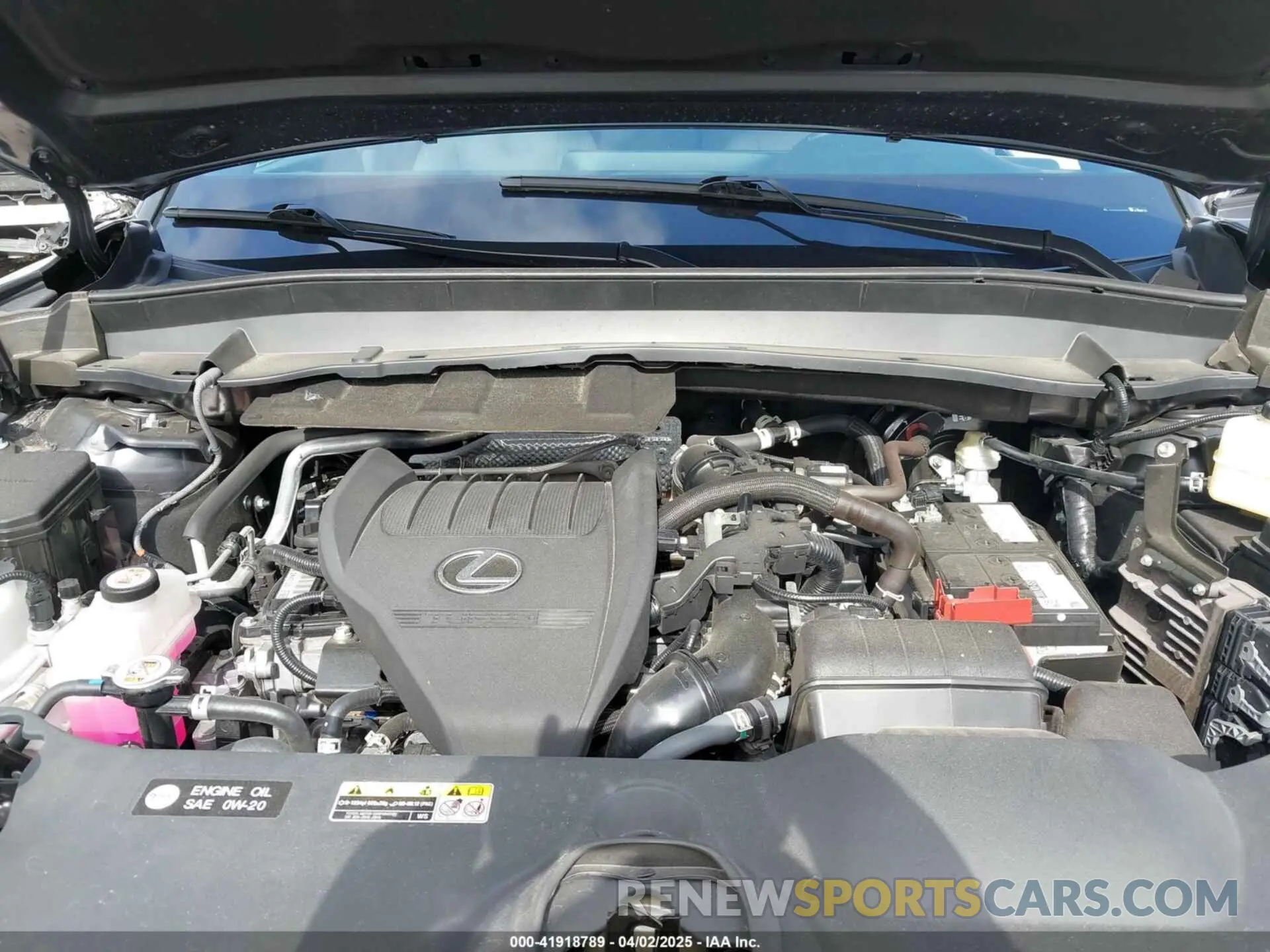 10 fotografías del automóvil dañado 5TDAAAA60RS000441 LEXUS TX 350 2024