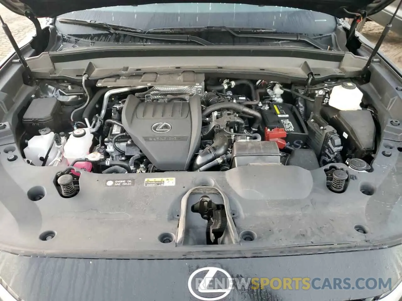 11 fotografías del automóvil dañado 5TDAAAA60RS005588 LEXUS TX 350 BAS 2024